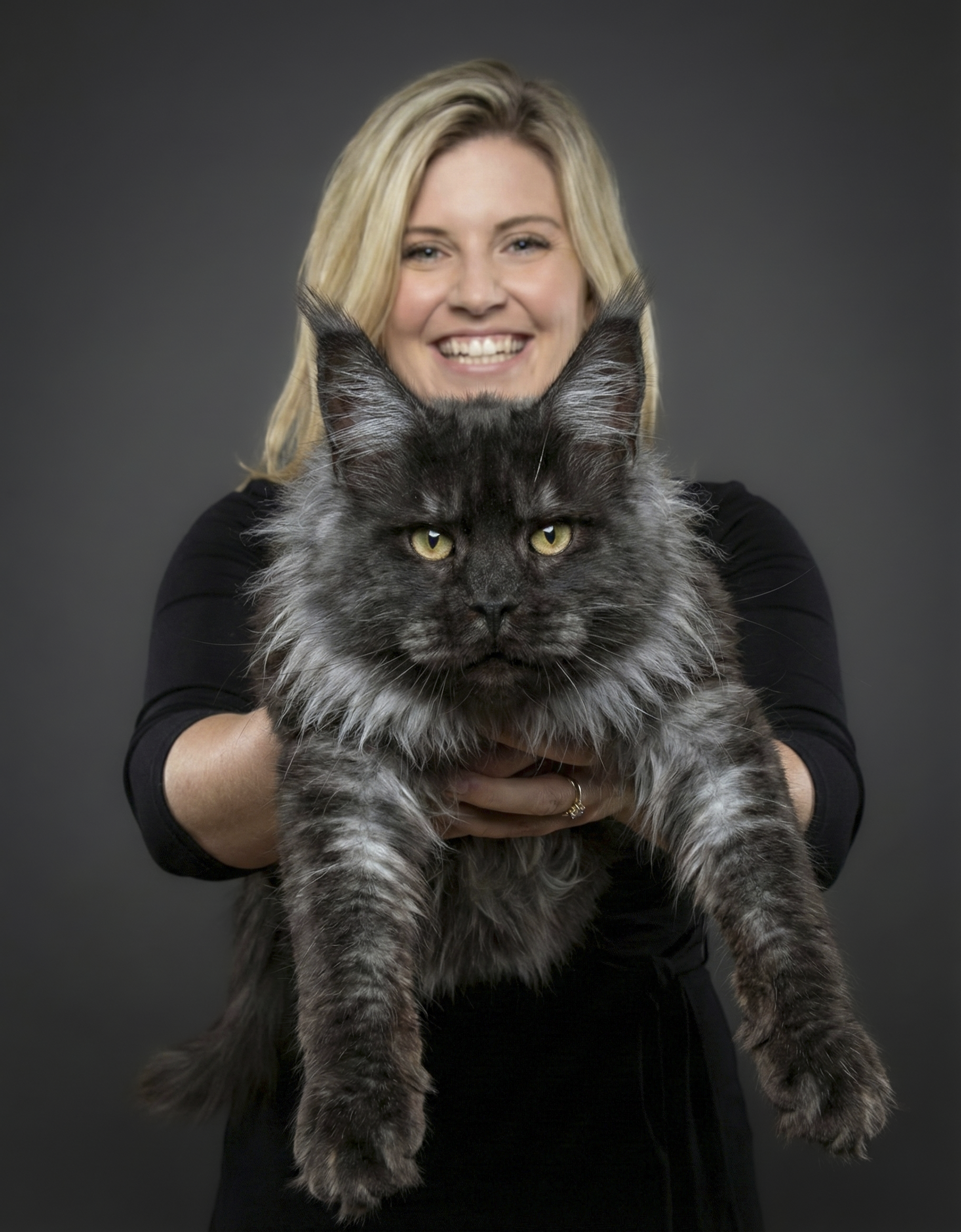 Maine Coon Cat Breeder