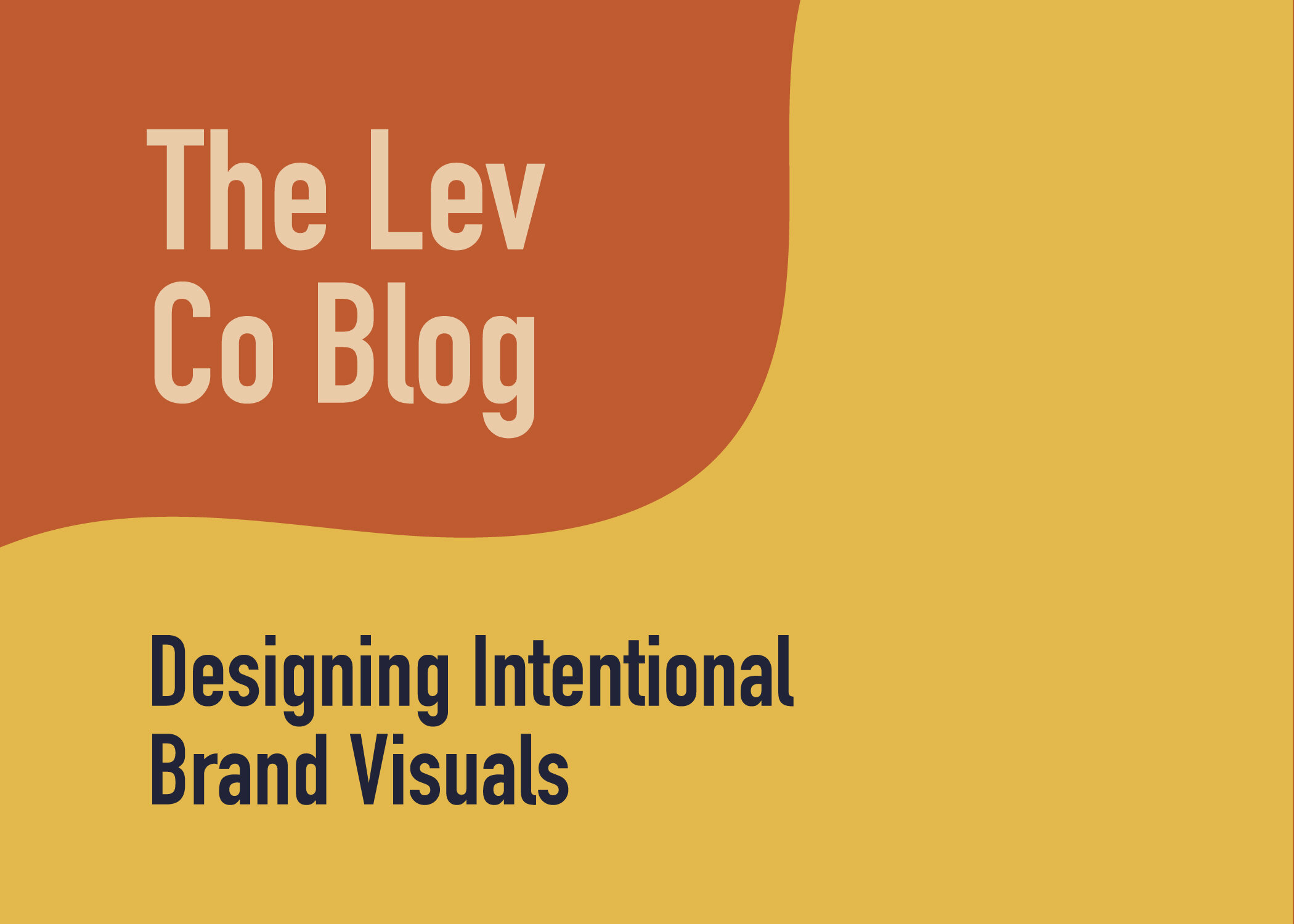 The Lev Co — Designing Intentional Brand Visuals