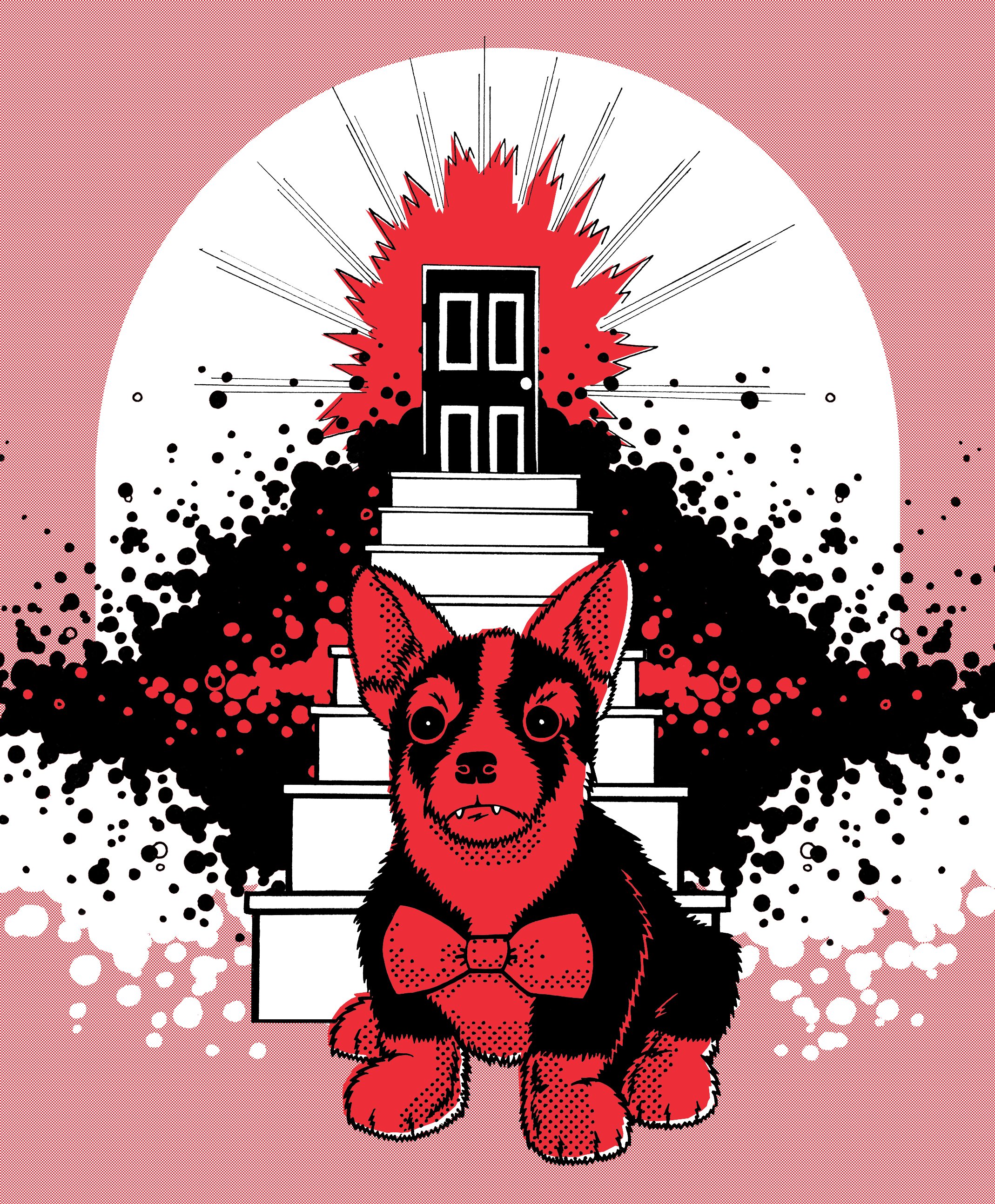 Corgi V2.jpg