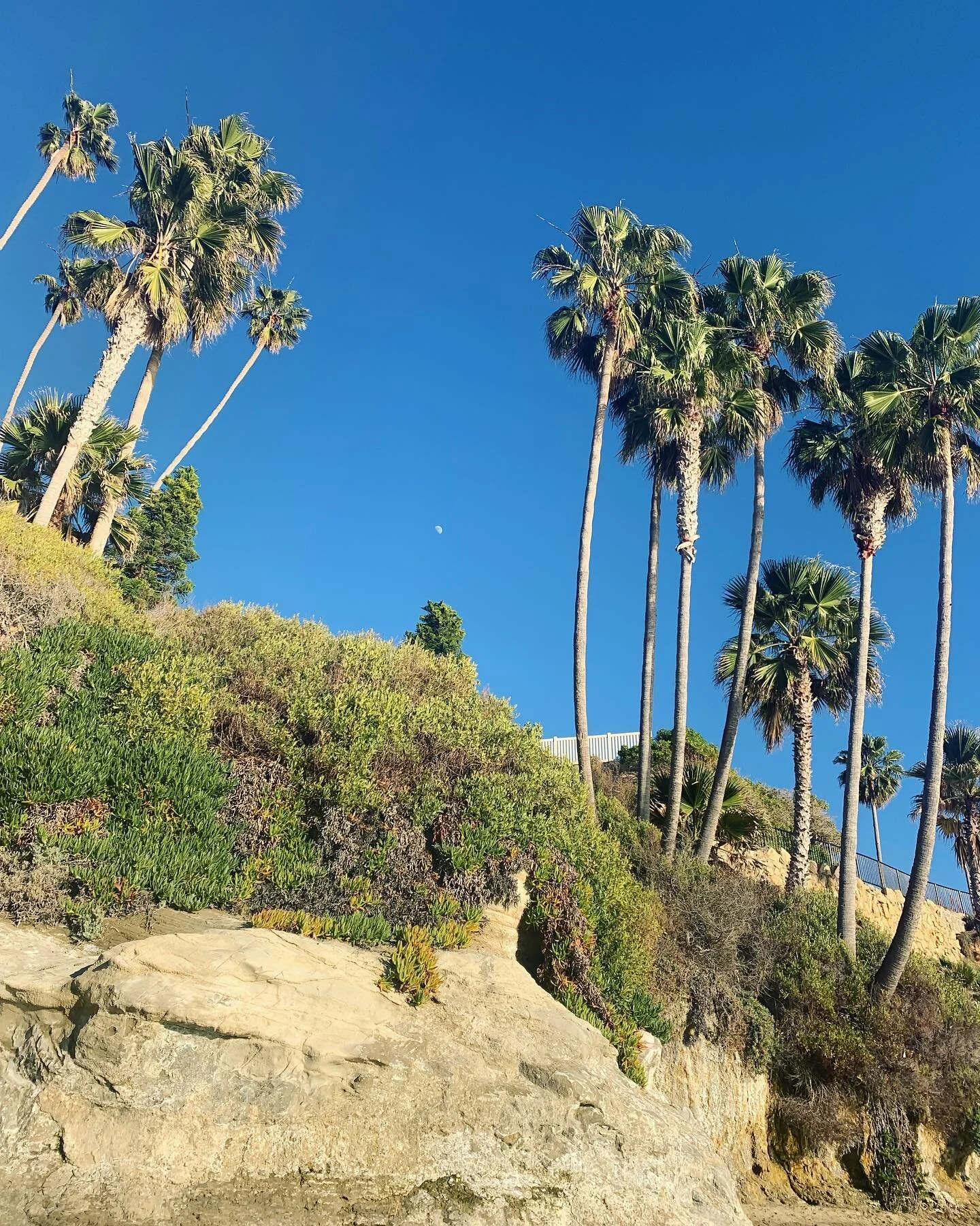 the places that call us home 🦋

where does your soul feel most at home? 

is it a place, being with certain people, or doing your favorite activities? 

tune into this energy to receive your alignment messages ✨
