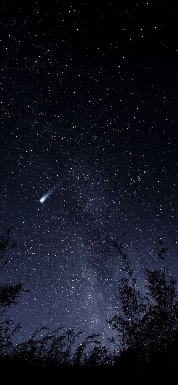 Life Lessons Reading