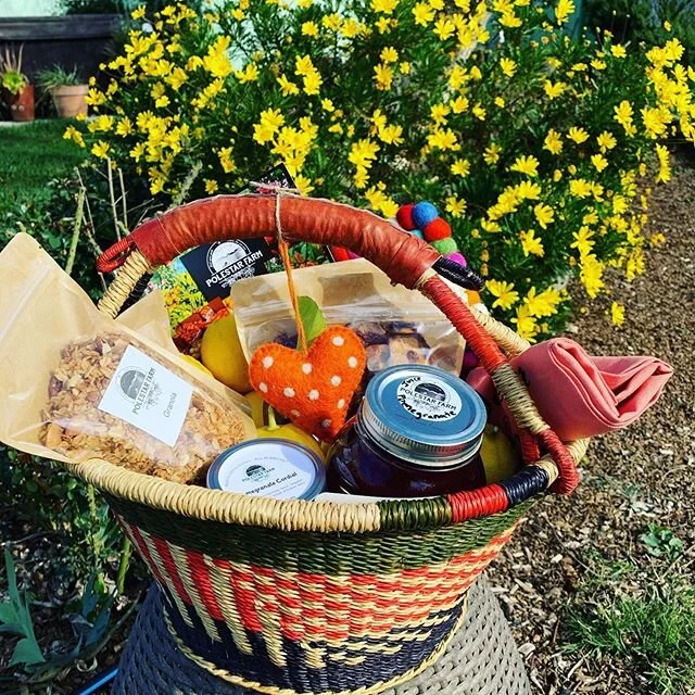 Look what you can win at the silent auction! Almond Blossom Festival is this Sunday- it goes from Esparto to Rumsey and back again. Almond trees are in glorious full bloom! We had fun putting together a basket of Polestar goodies for the lucky winner