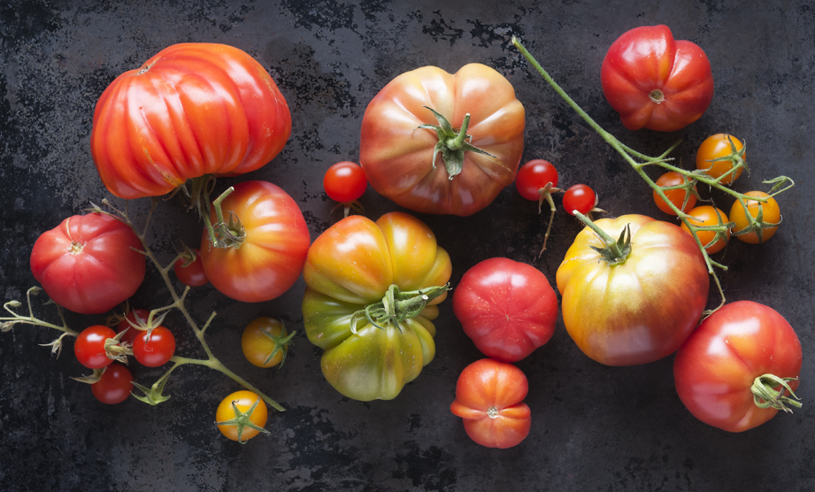wis_tomatoes_blog_header_921x556.webp