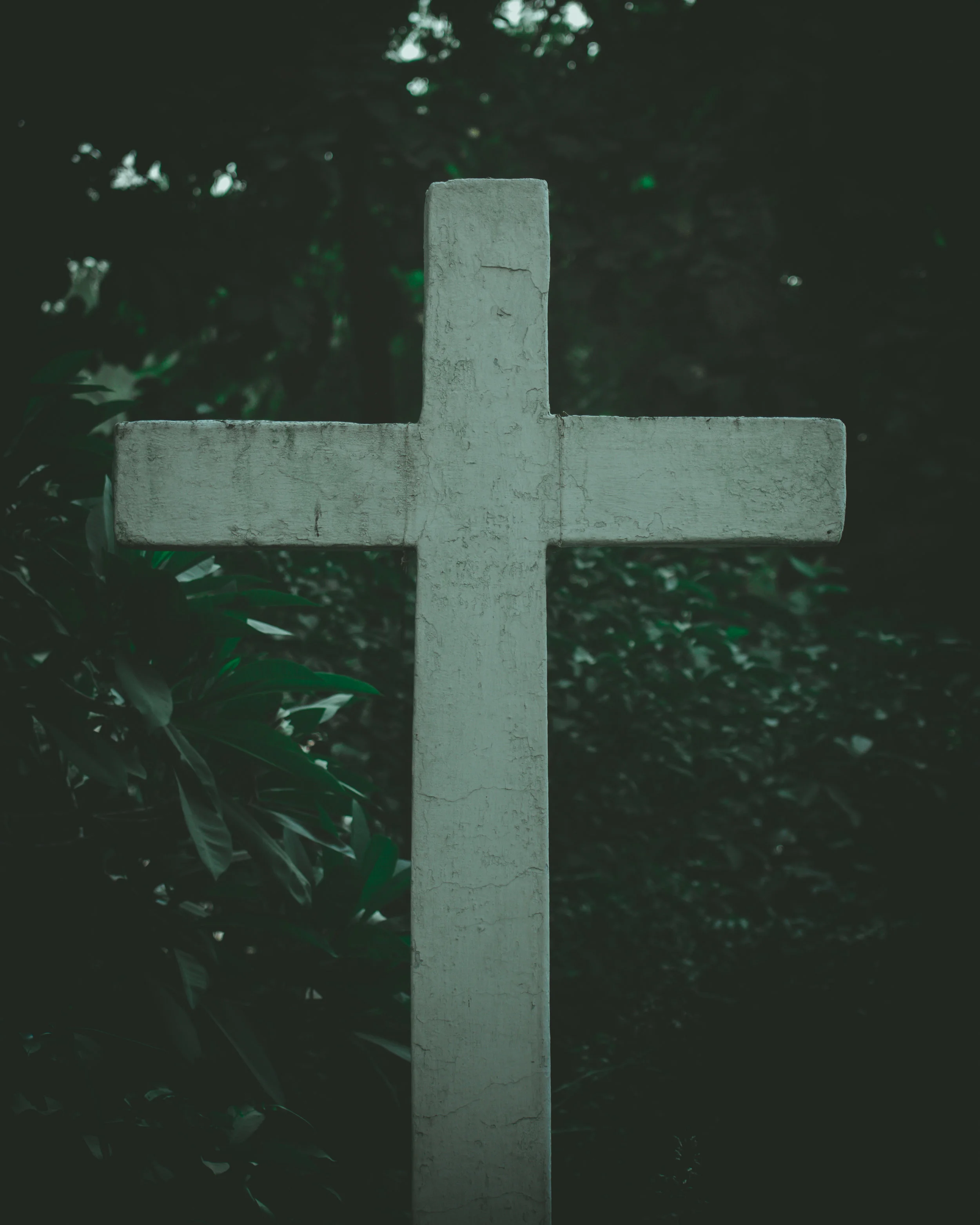 James 1:5 and the Wisdom from Above