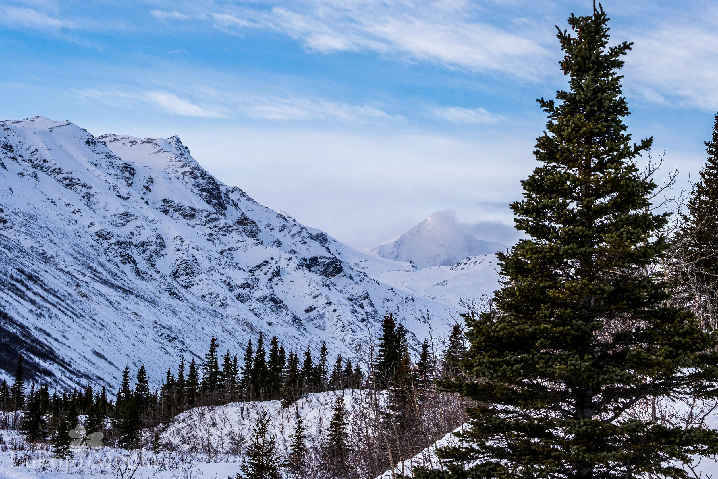2046 - Dusty Peaks