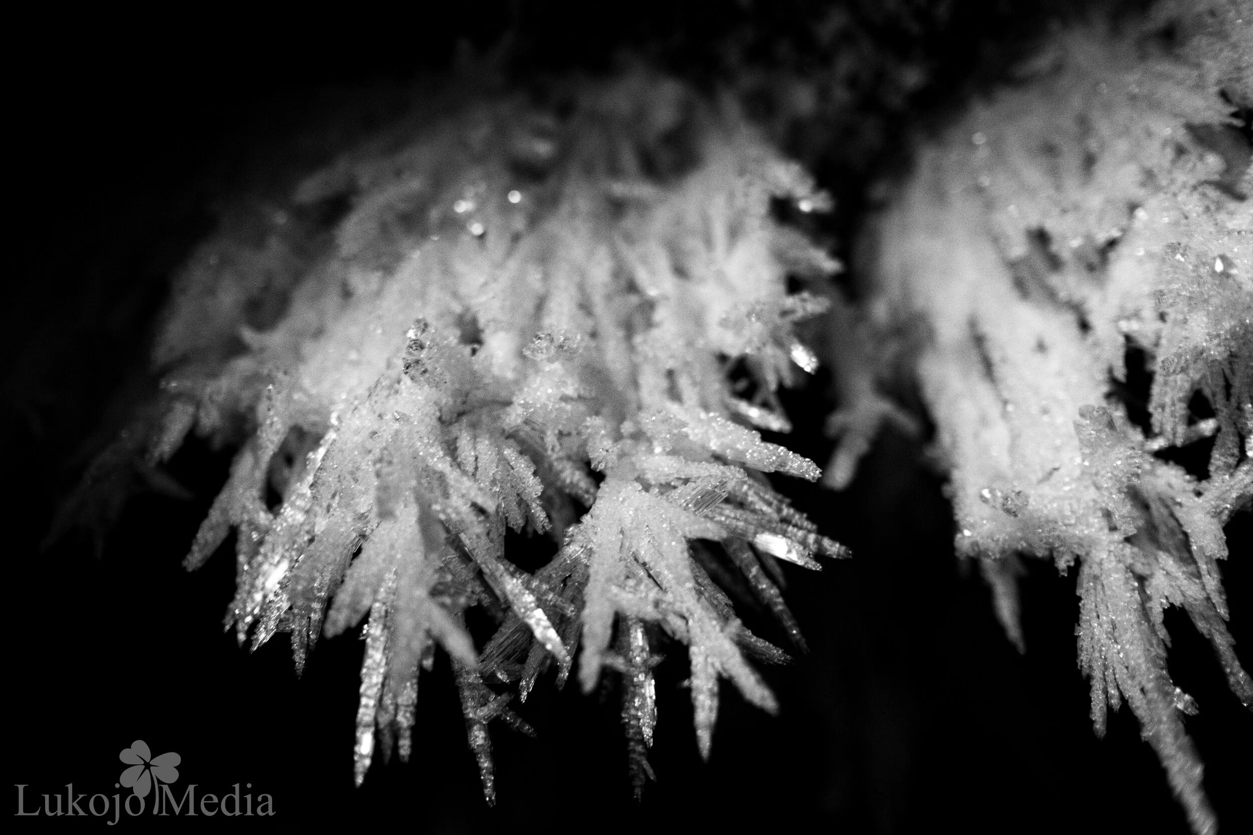 2047 - Frost Fragments