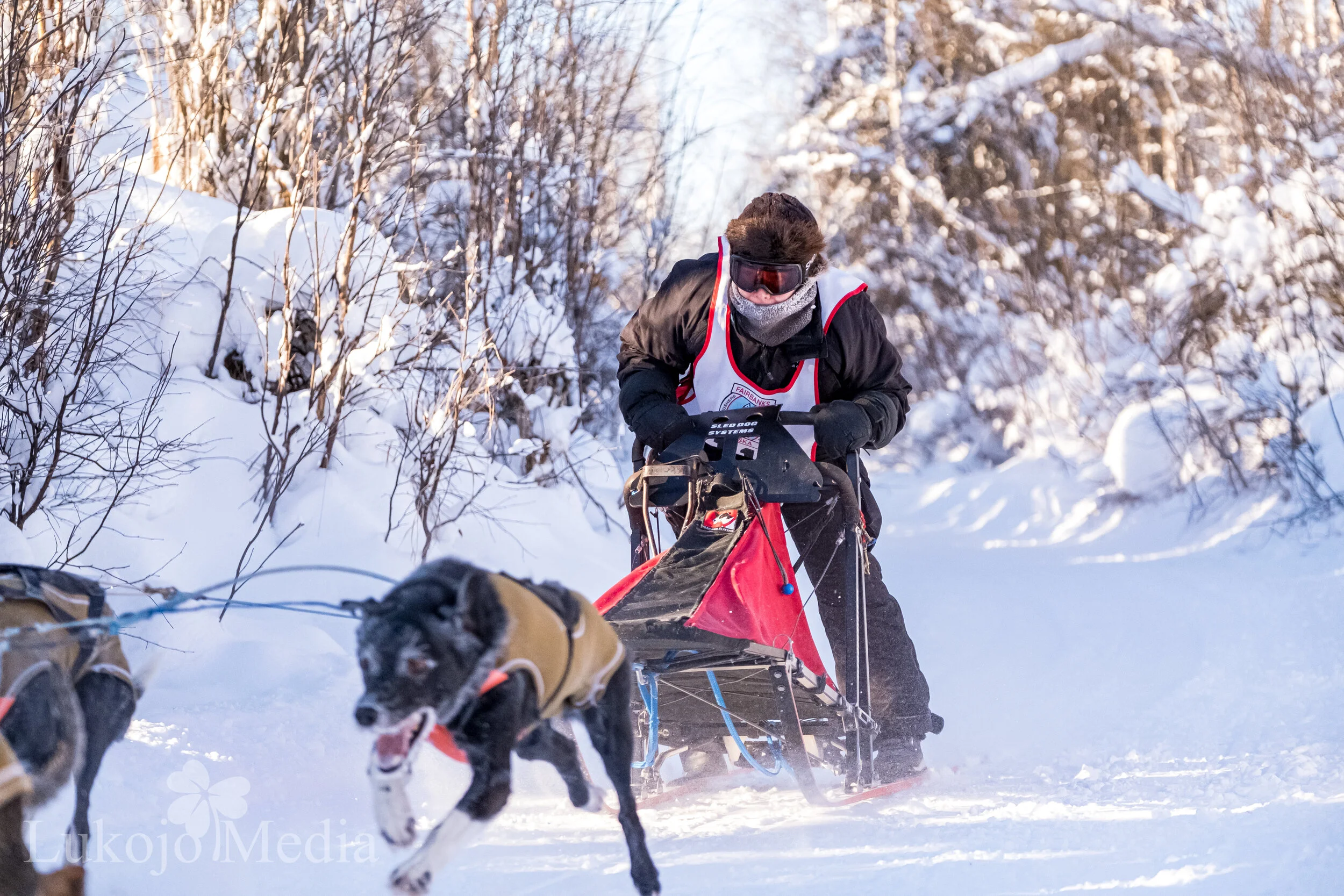 Midnight Sun Gold Run 2021 - Speedy
