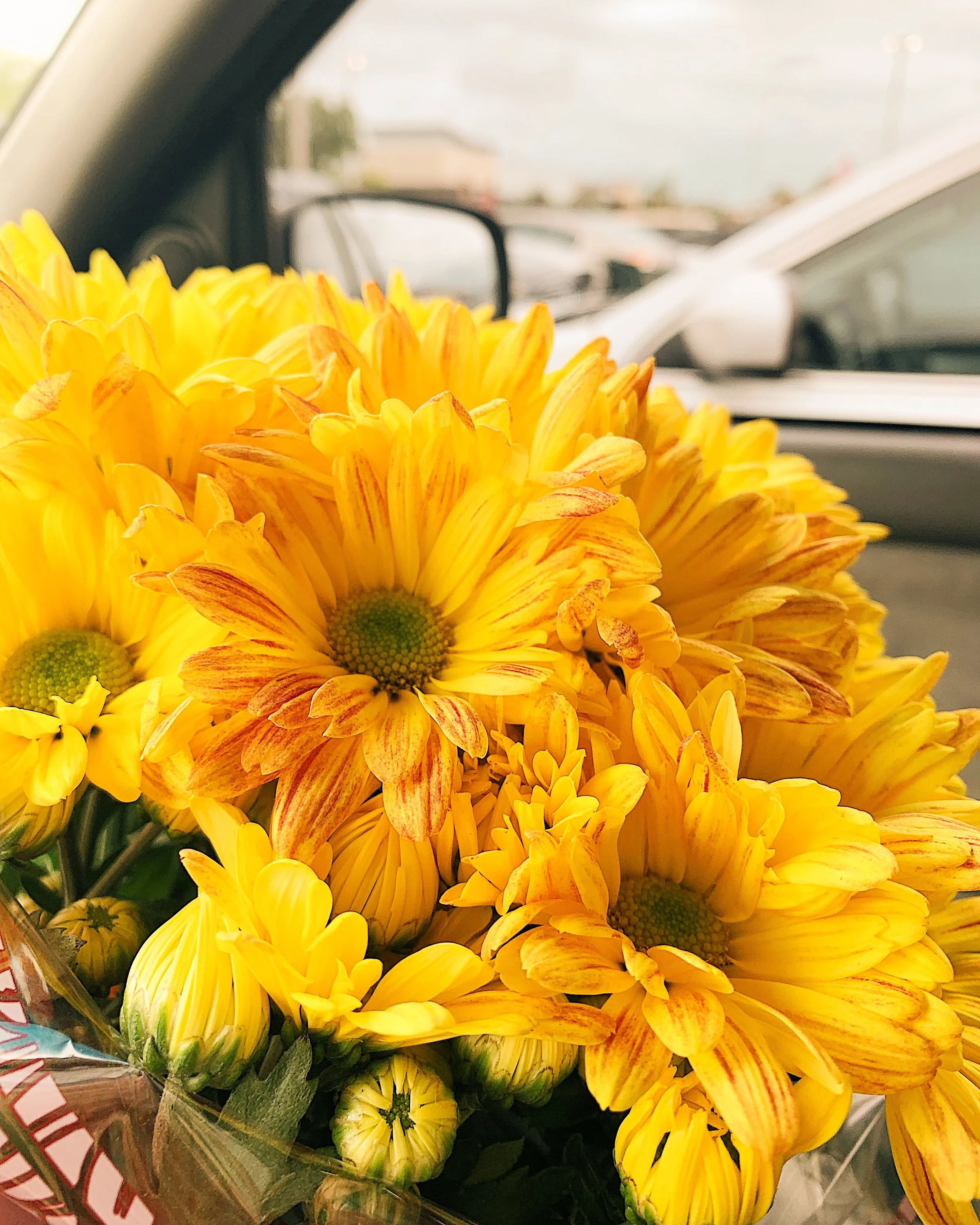 Bliss in the Ordinary.
