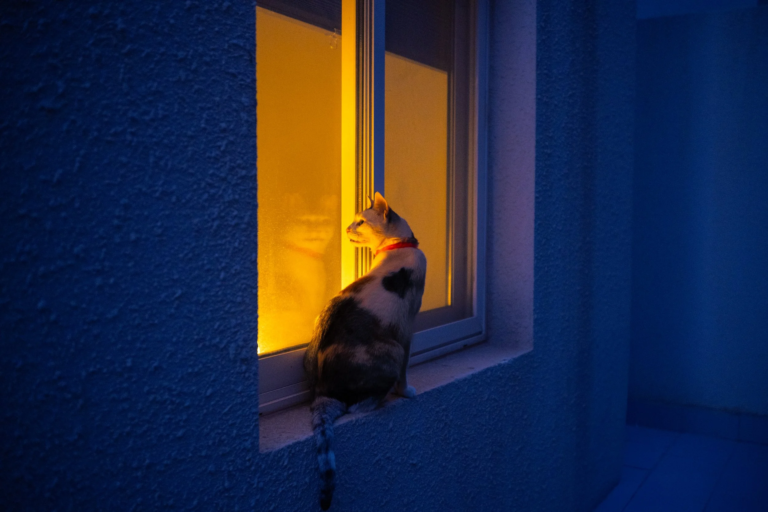 DSC_6120.jpeg