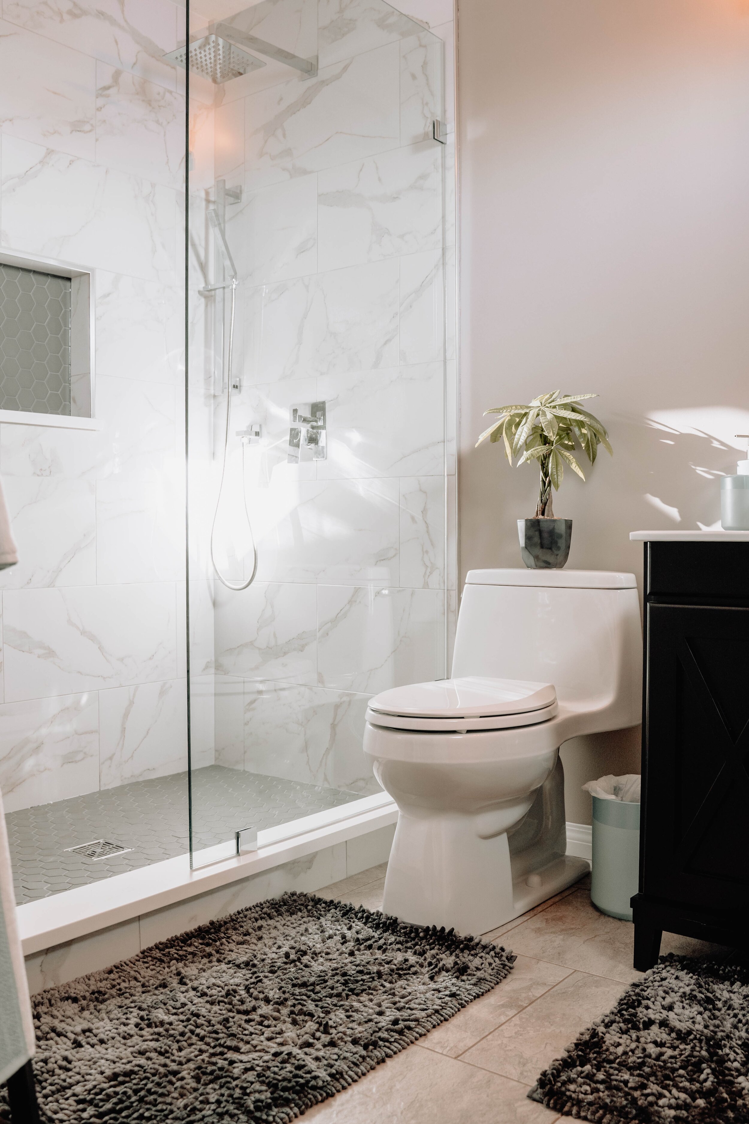  Dirtiest Spots in your bathroom. ways to make your bathroom cleaner, knowing the most contaminated bathroom area and what are the best cleaning tools or cleaning agents to use to decrase the microorganism development. Call Vivian's Maid in seattle c