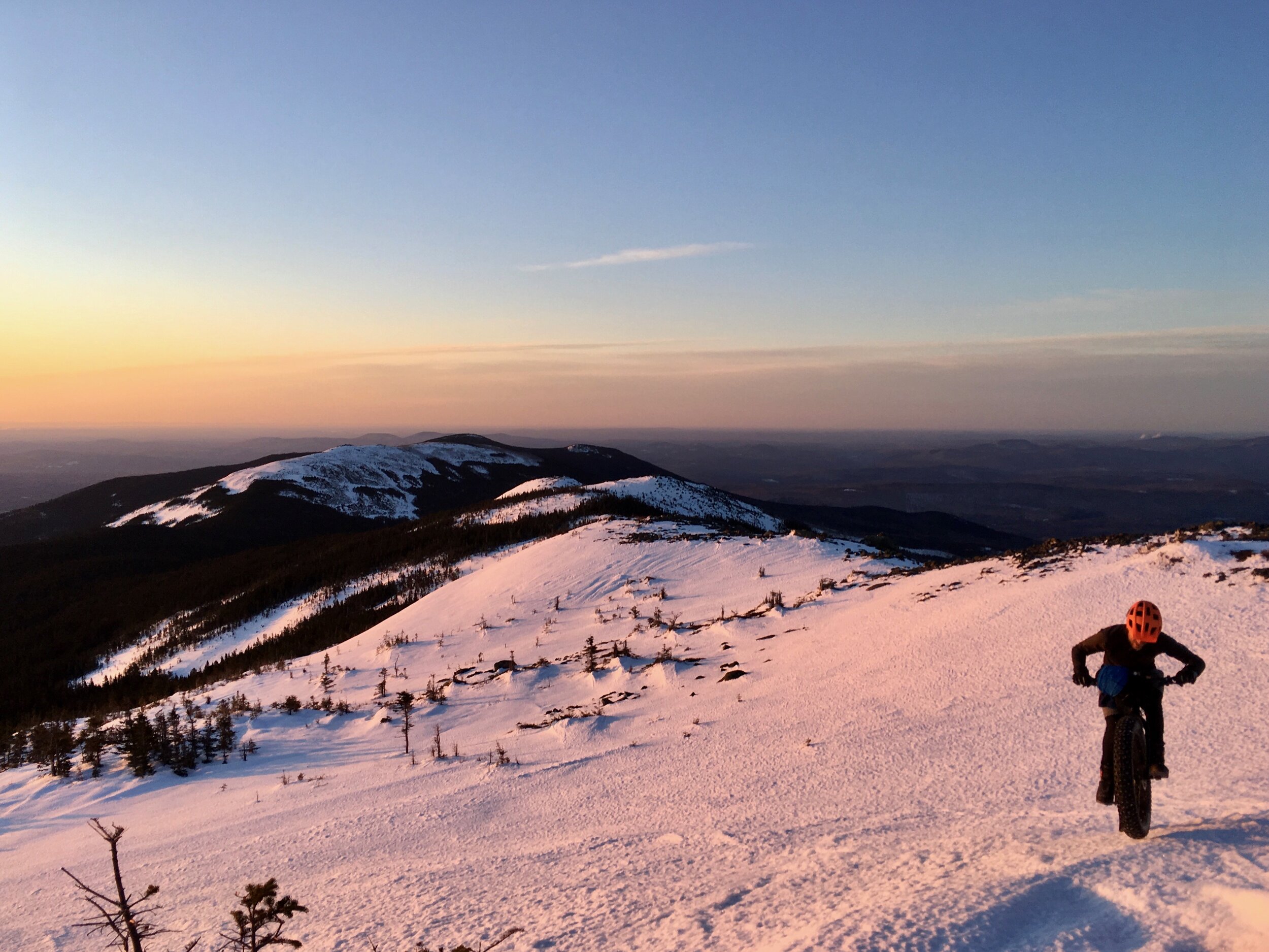 OSI Community Update - Spring 2020