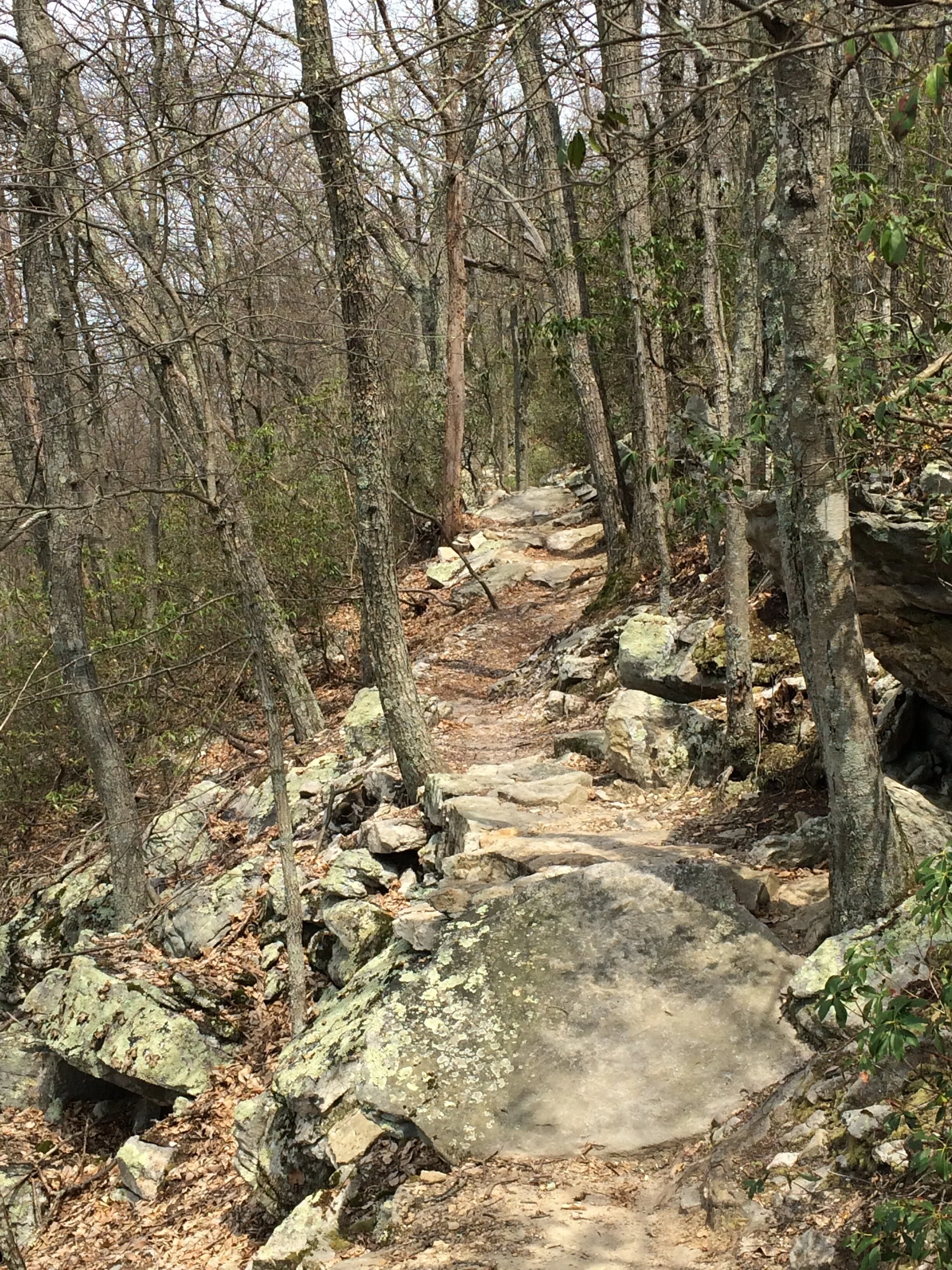 The Life of a Trail: Learning Trail Awareness