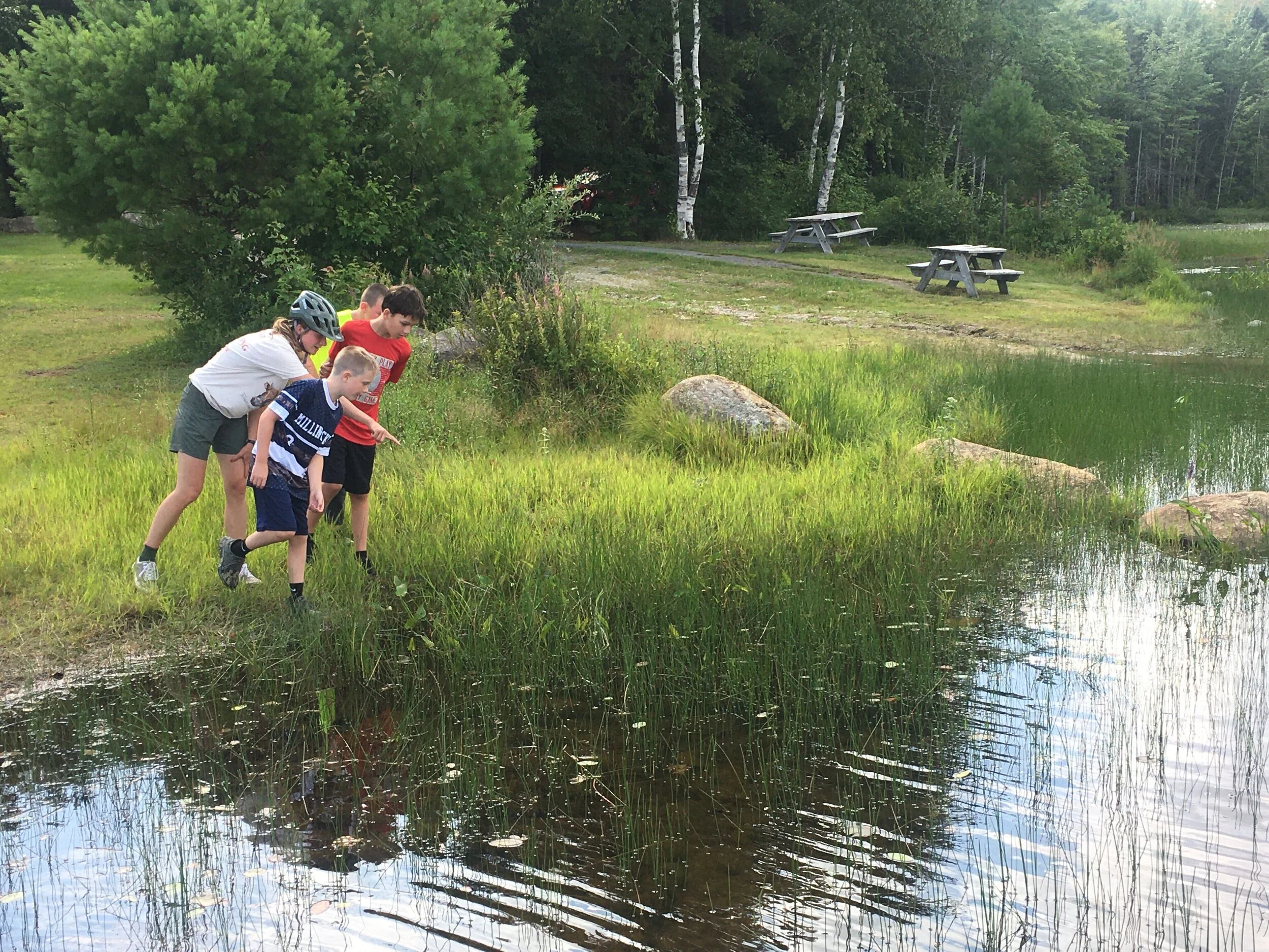 Seeds &amp; Ripples: Supporting Community Culture 