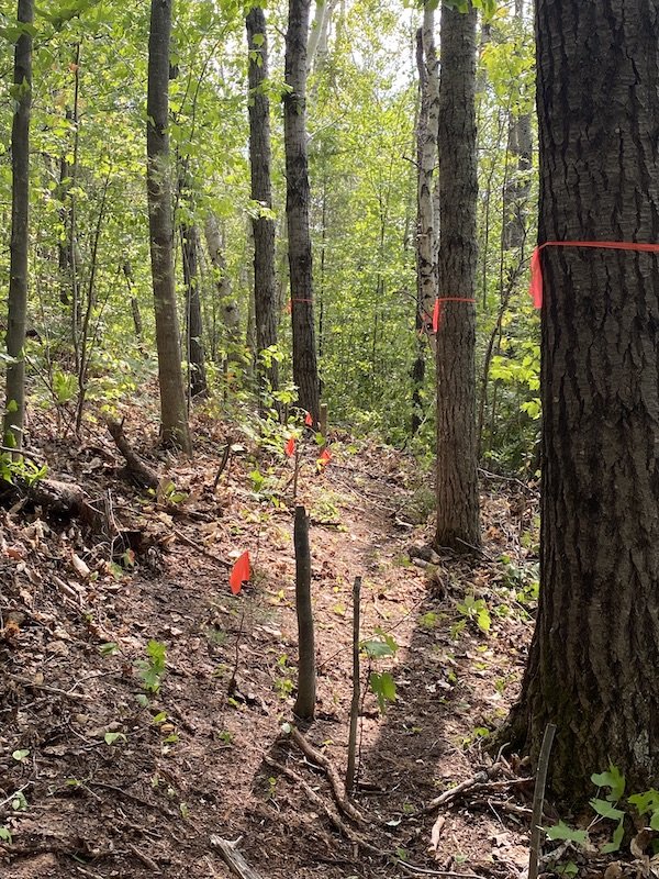 Online Trail School