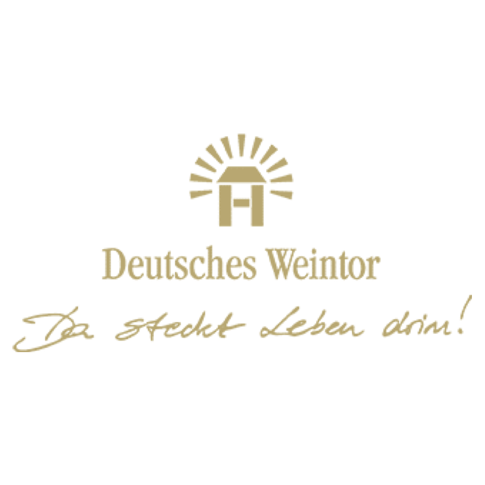 DJ bei Feier in Location Deutsches Weintor Schweigen-Rechtenbach