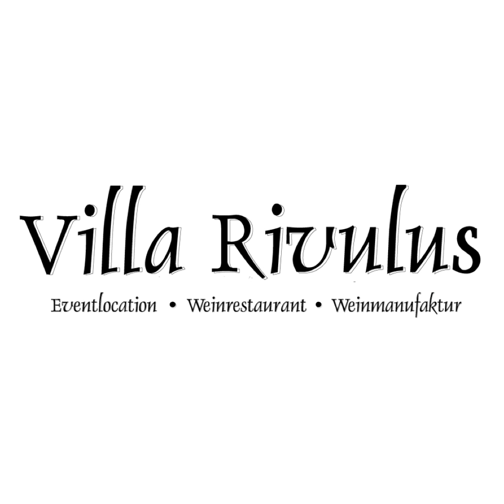 DJ bei Feier in Location Villa Rivulus Weingut Bach Landau