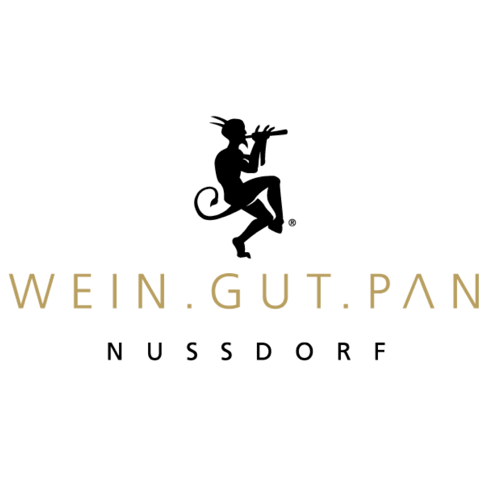 DJ bei Feier in Location Wein Gut Pan Nussdorf Landau