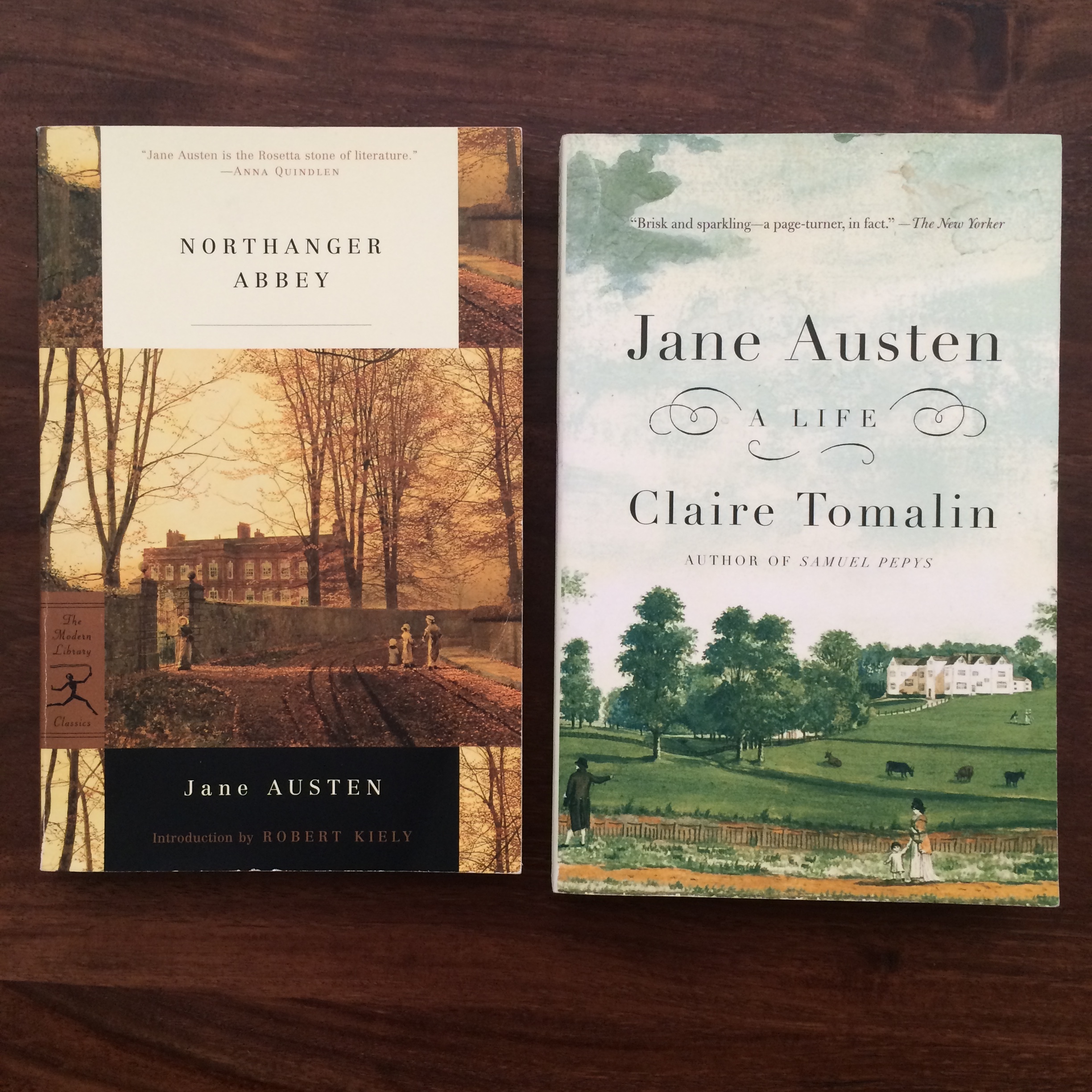 What is a Novel Series