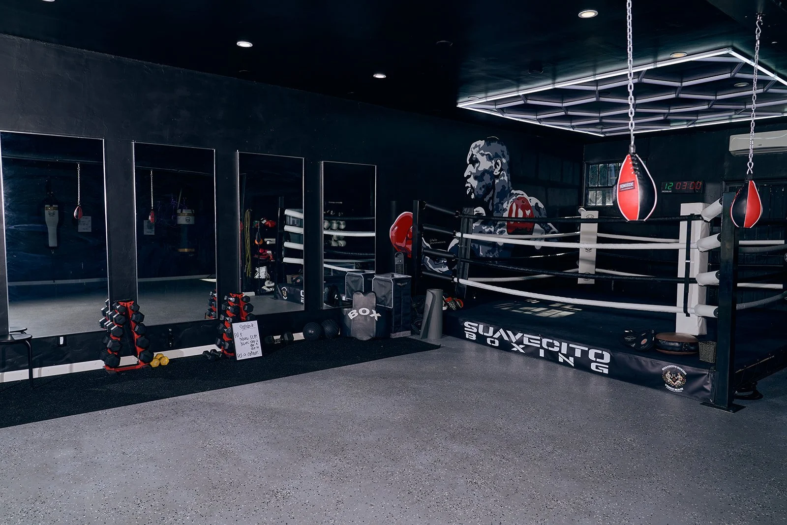 Suavecito X0023_websize.jpg