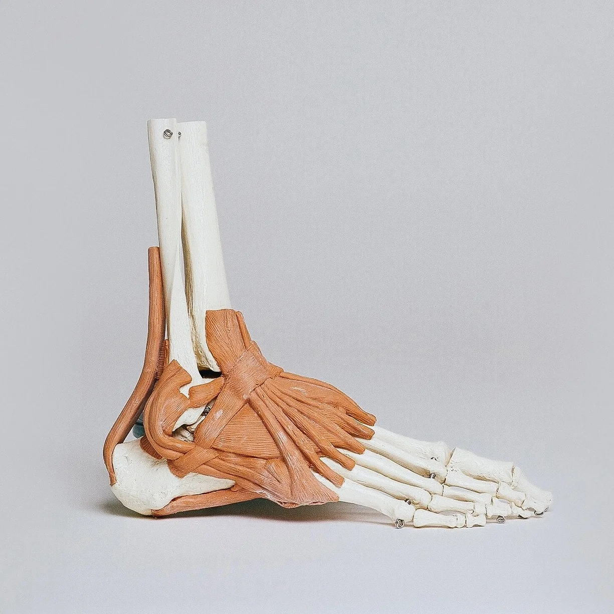 Coastal Osteopaths Okato Injury Treatment