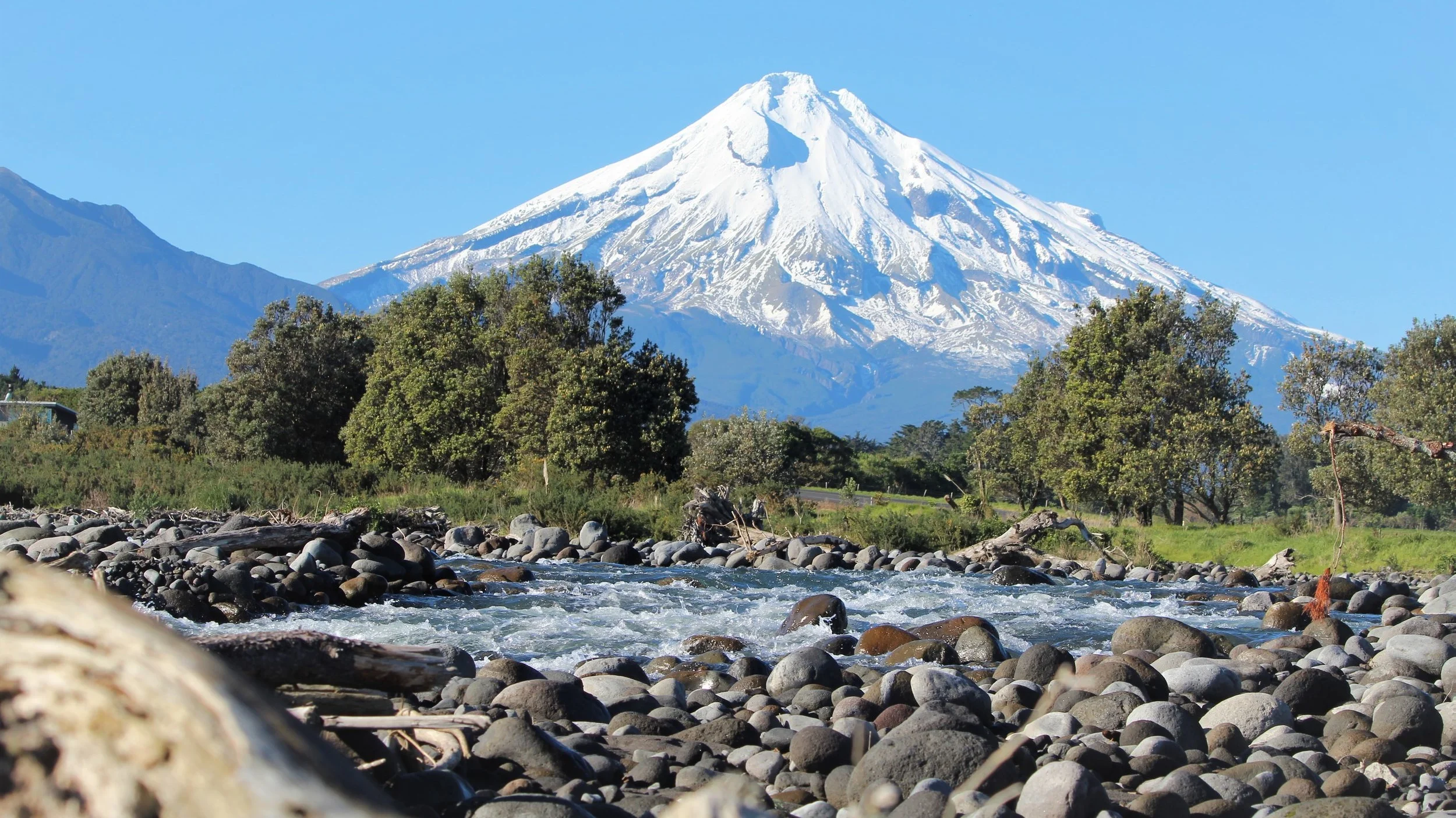 CURRENTLY ON MATERNITY LEAVE UNTIL SPRING 2020