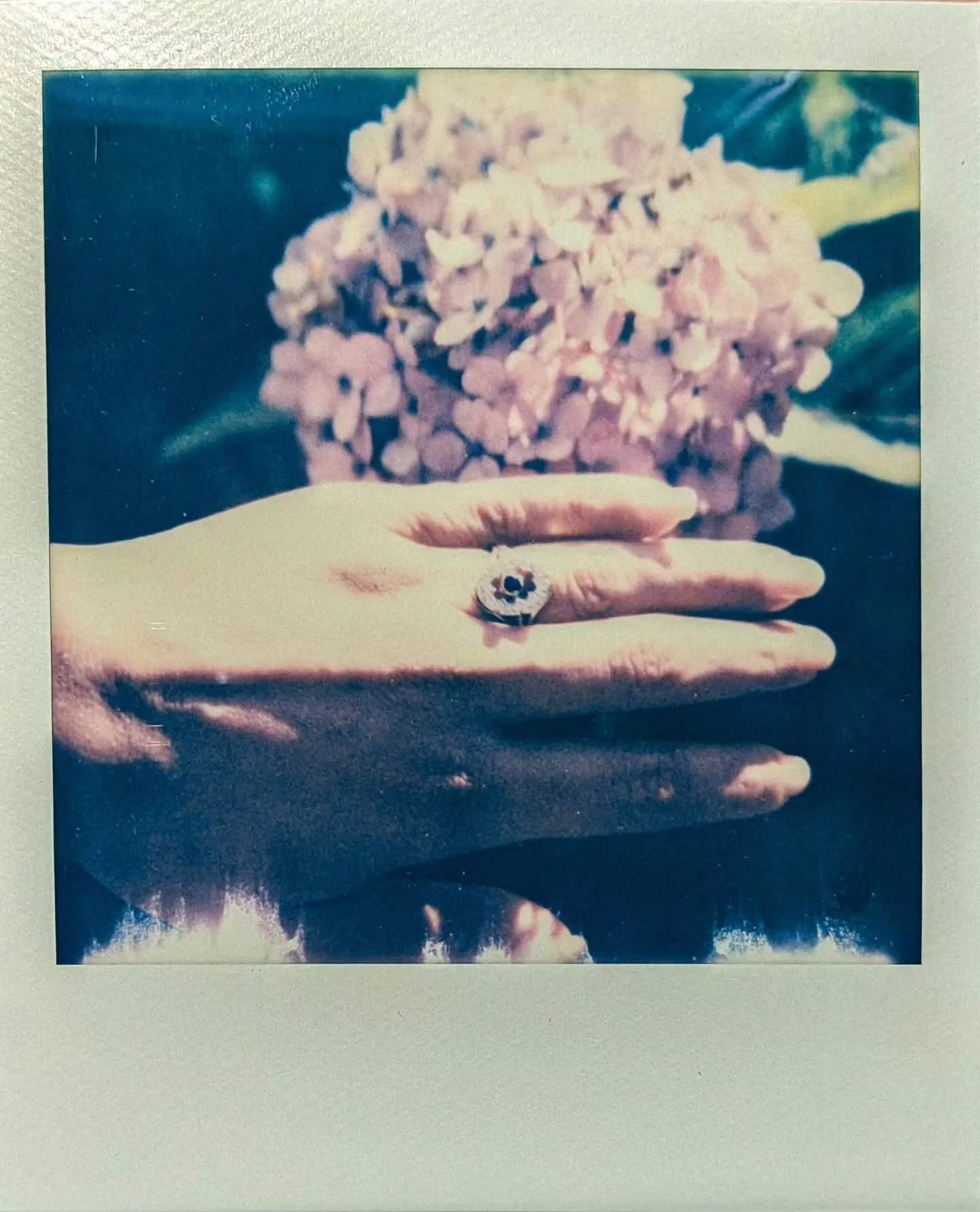 SHE SAID YES!!!! I can't wait to spend the rest of my life and many more moons with this incredible soul.
Also, I tried to take a few setup shots of the @polaroid but @geewhizitsgiz kept ruining them, so a straight shot with sunlight it is.
It felt s