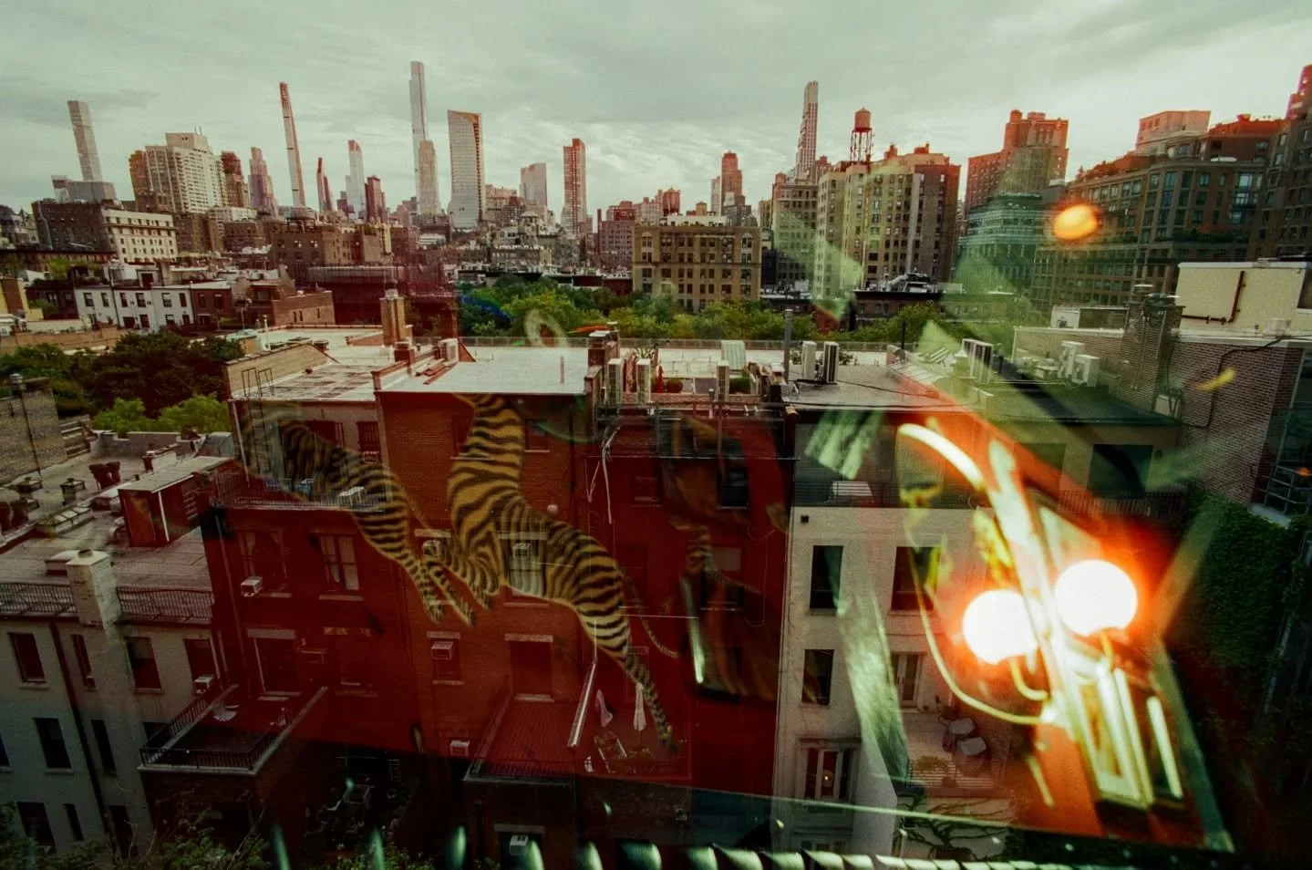 I realized it's been a bit, nearly the entire month... Since I last posted a film capture, let's get to it!
One of the projects keeping me busy lately has been a new video for my guy @zack_hample and with him having finally ventured out to Brooklyn l