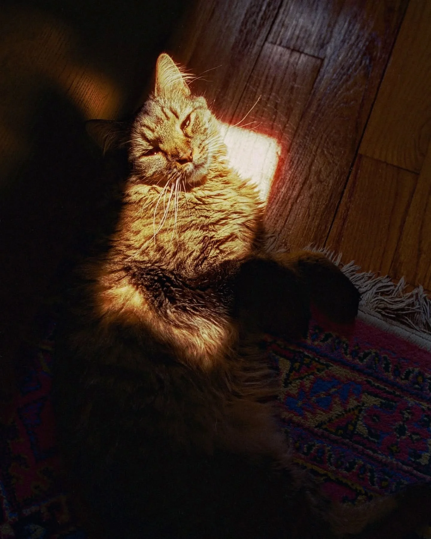 It's not everyday that your lil man turns 6 and what a joyous day it was yesterday. It was truly one of the most incredible days @classic_karen and I have spent with our bubz and was just another example of why we love him more than words can describ