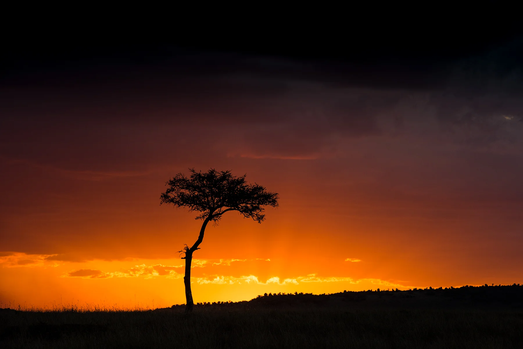 Sunsets in Africa flirt with the line that separates spectacular from unreal.