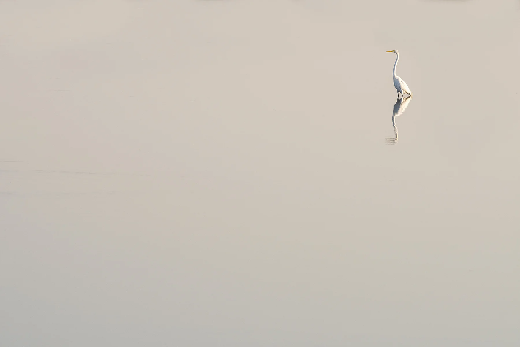 DSC_2002-Edit.jpg
