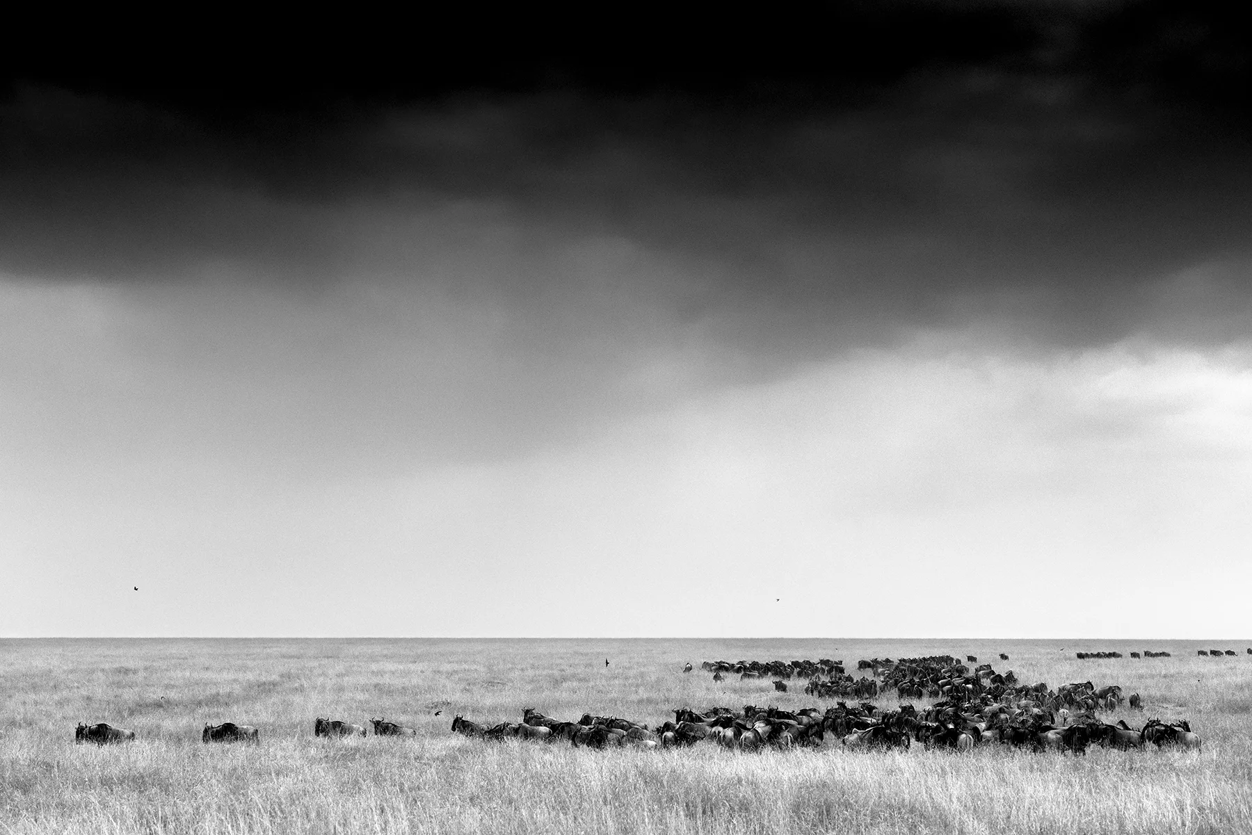 DSC_5666.jpg