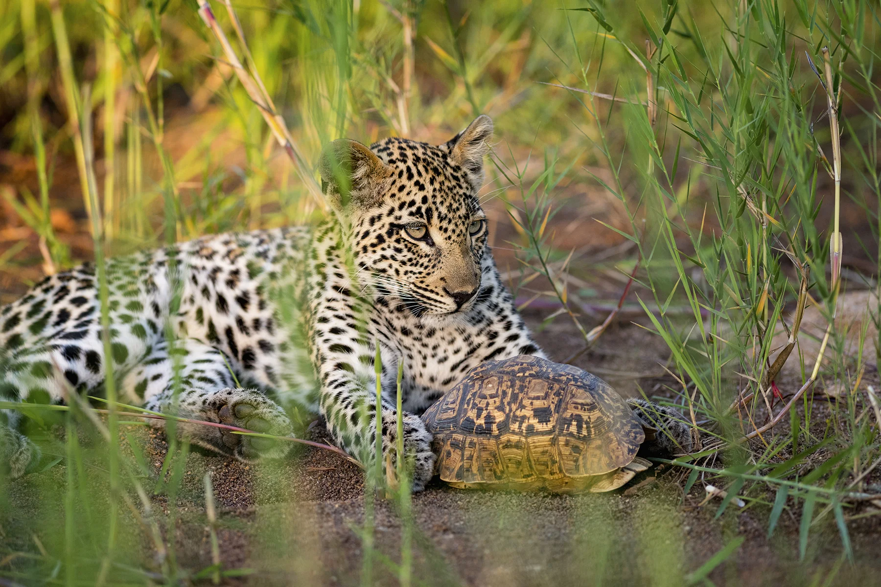 _DSC3712-Edit3.jpg