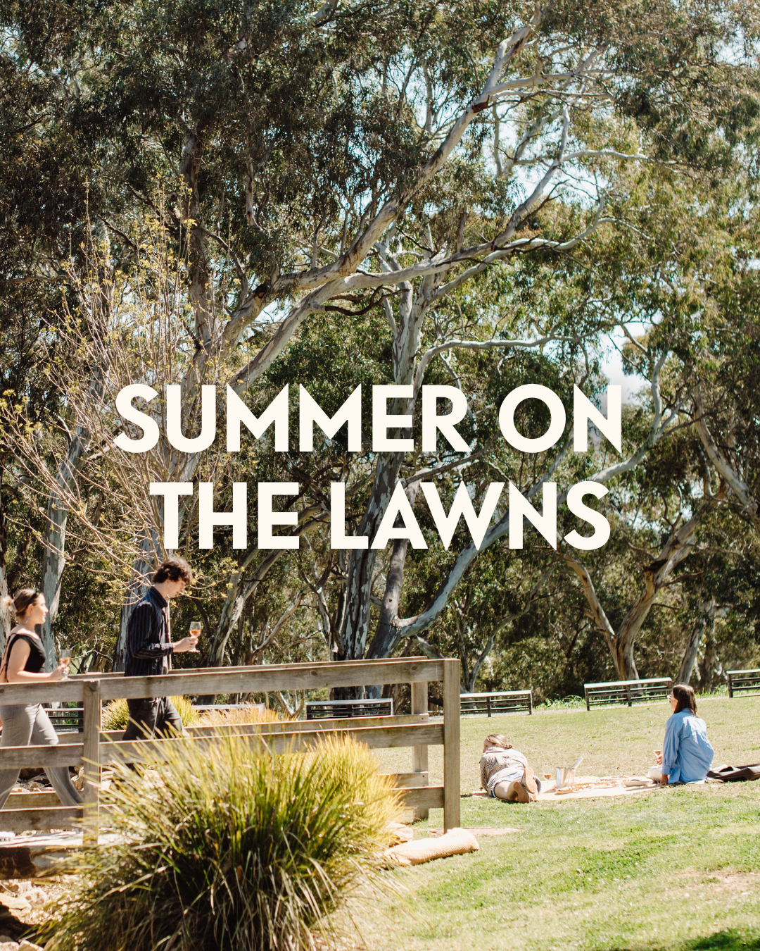 Summer on The Lawns