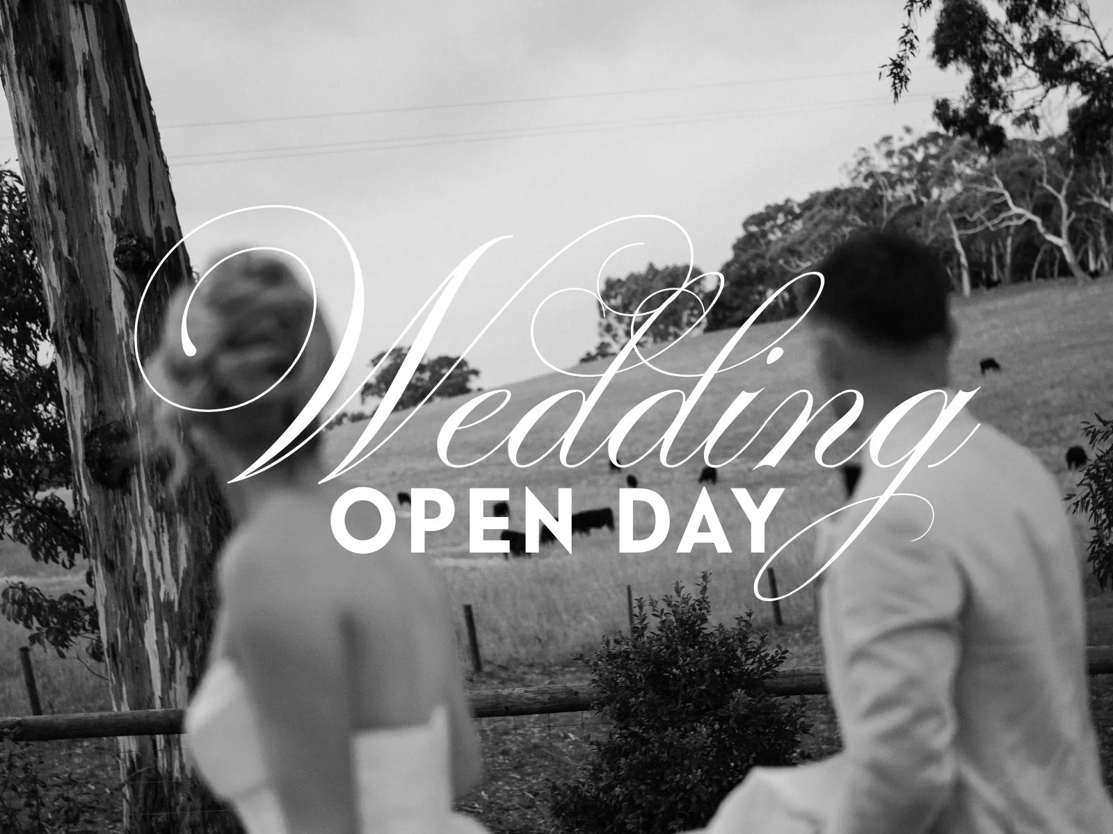 Wedding Open Day