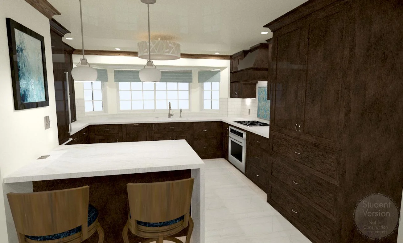 Kitchen: 3D Perspective using Chief Architect