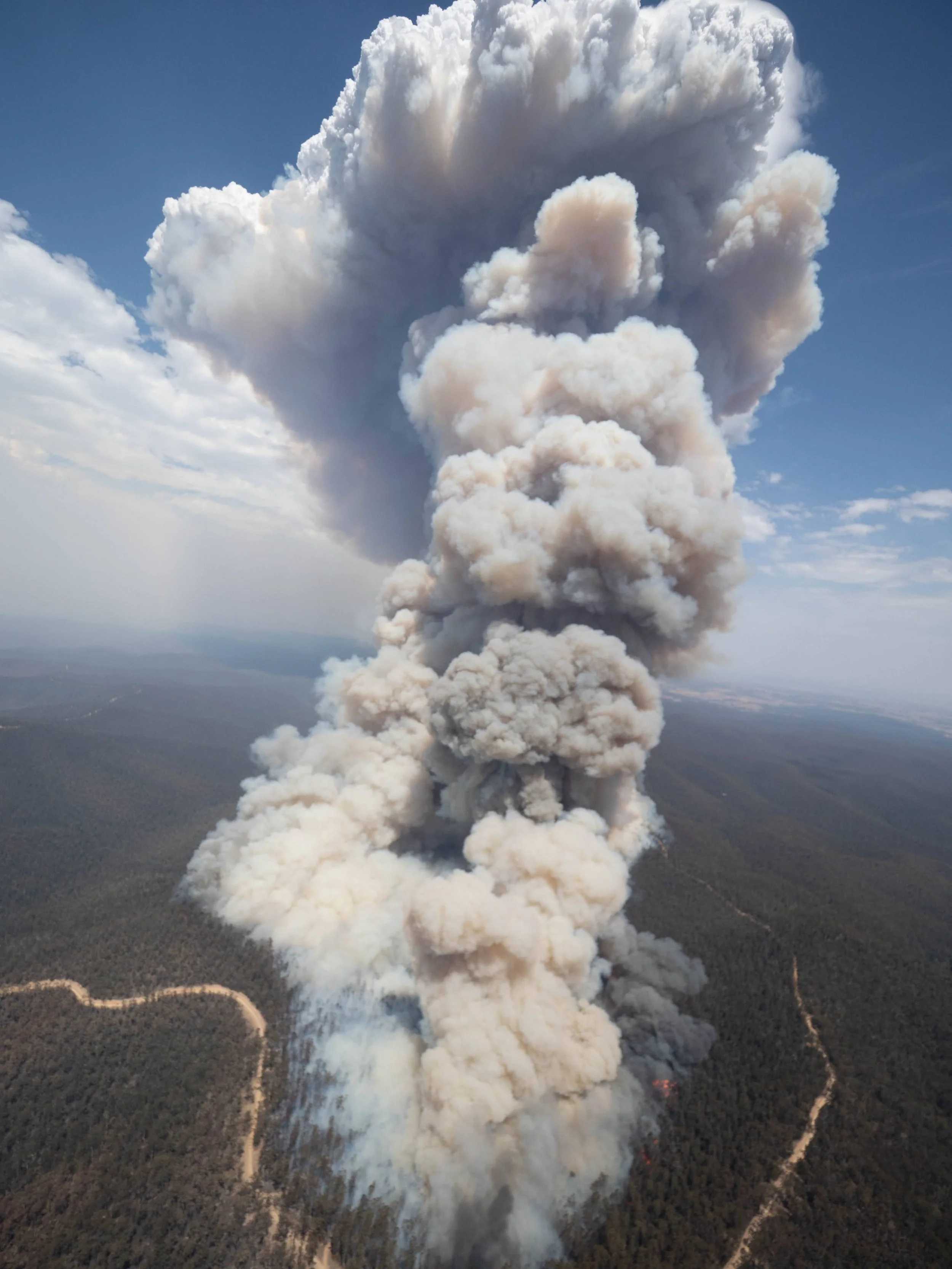 Cover 2 Sarsfield.jpg