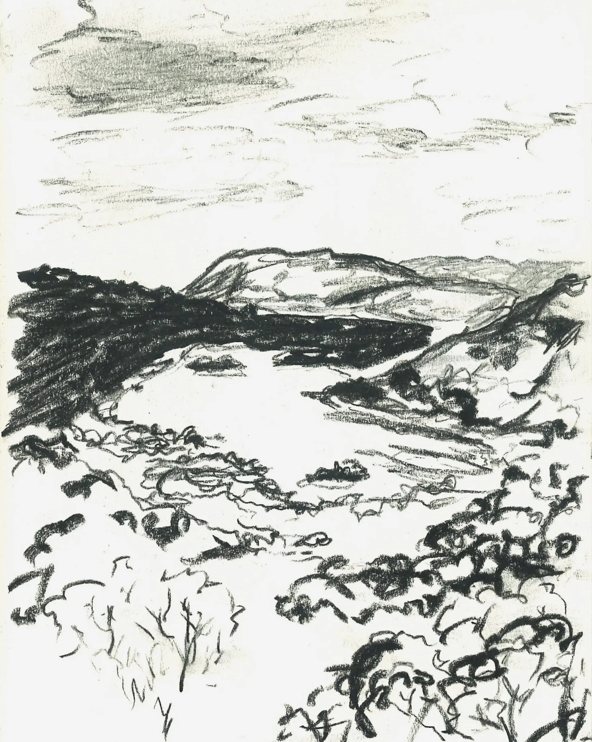 scan_nealet_2025-10-22-08-54-28_2.jpg