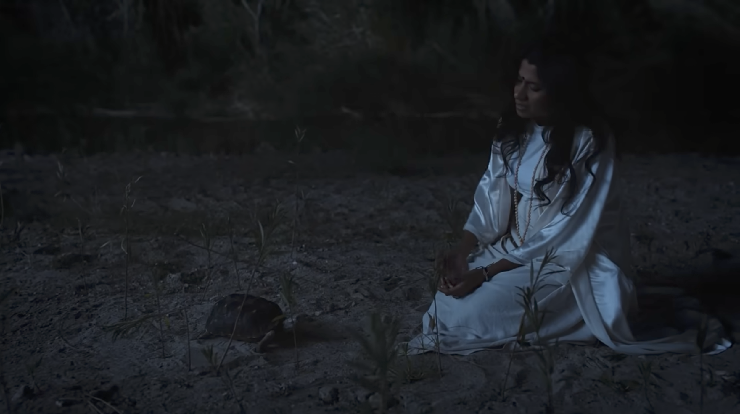 Screenshot 2026-02-24 at 4.21.00 PM.png