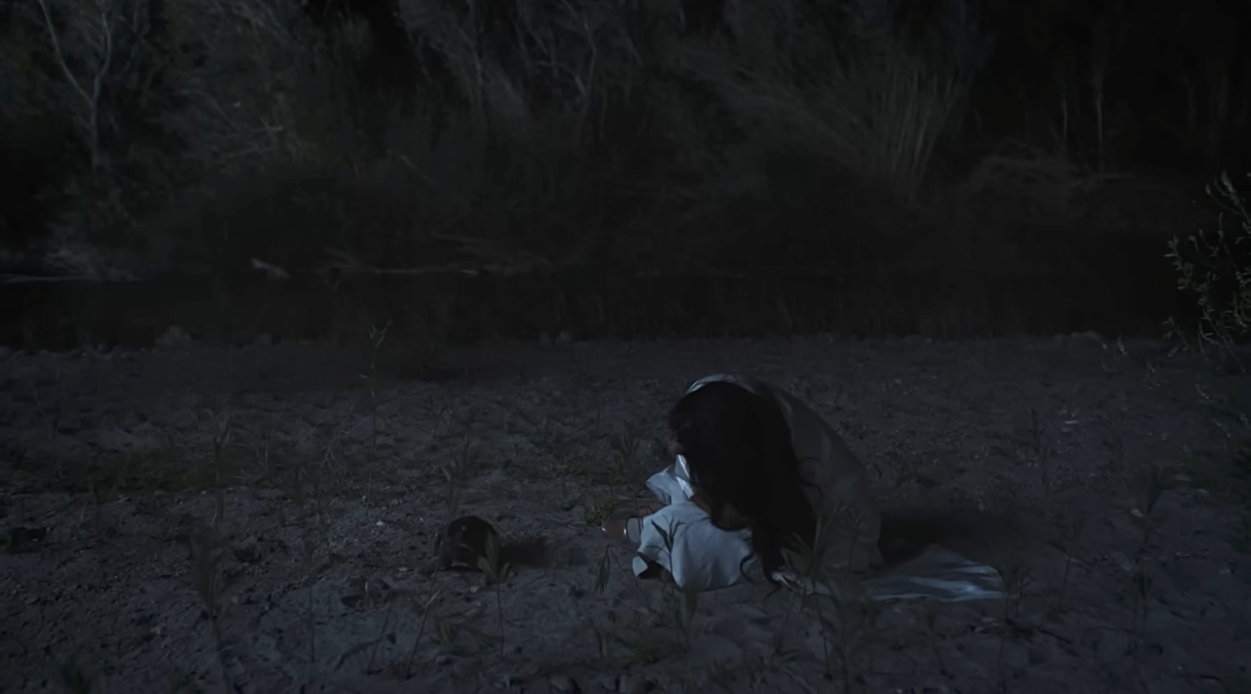 Screenshot 2026-02-24 at 4.14.56 PM.png