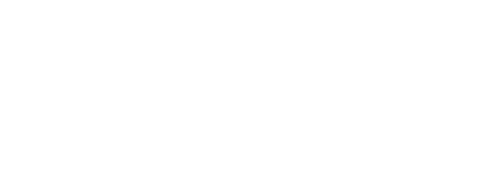 N1.png