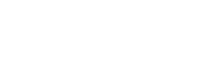 N2.png