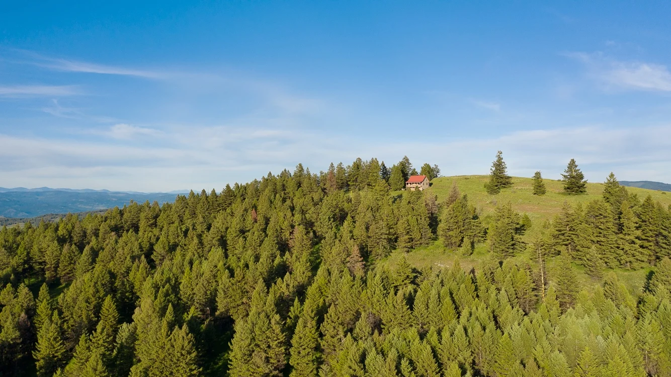 DJI_0463.jpg