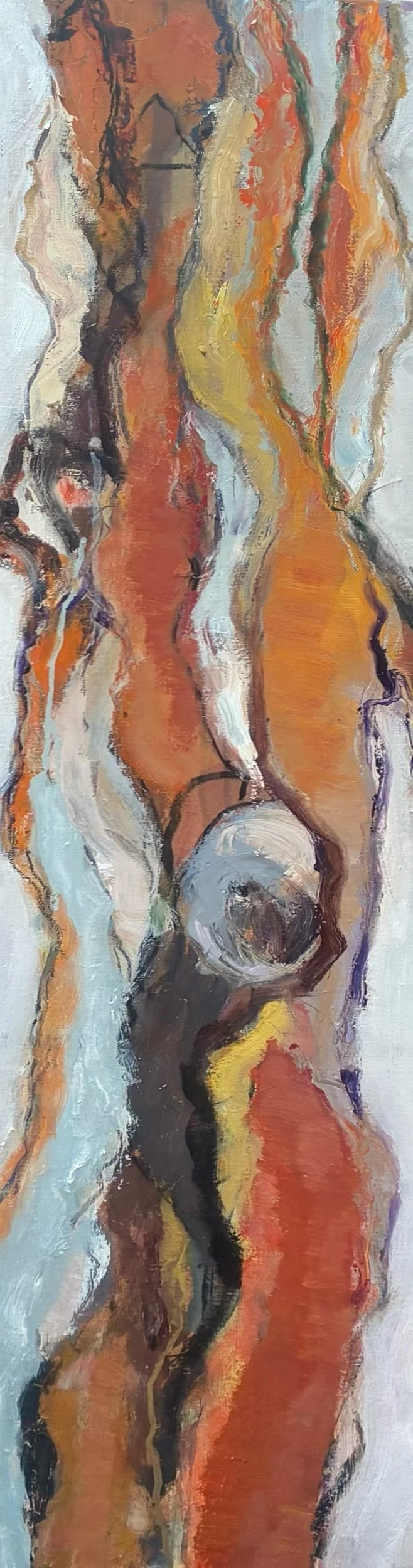 backyard paperbark.jpeg