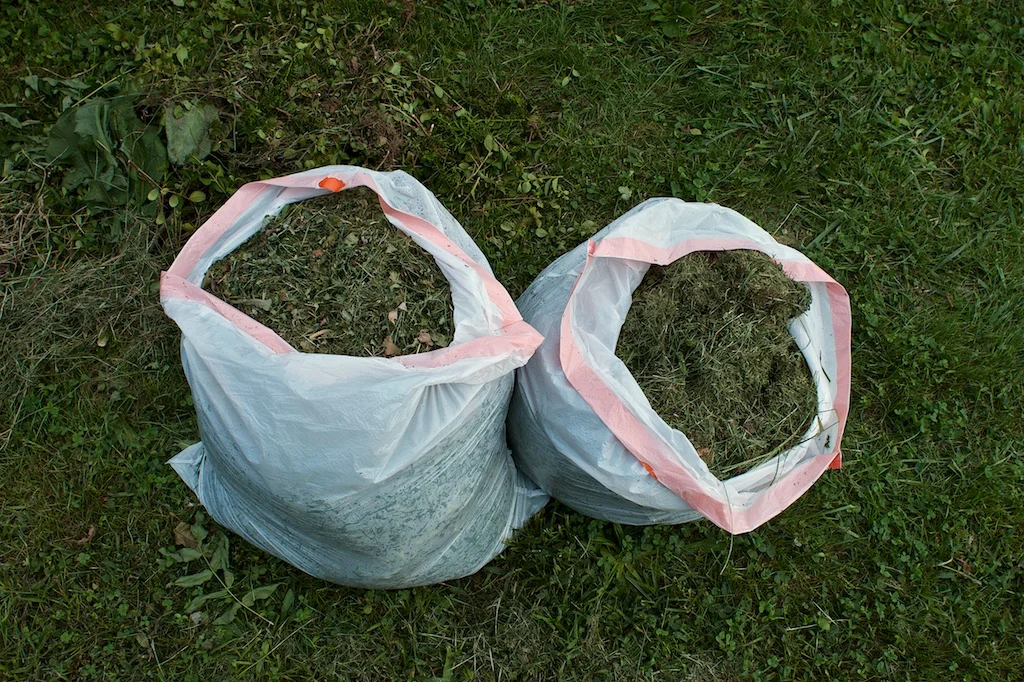 3_DSC_5204.jpg