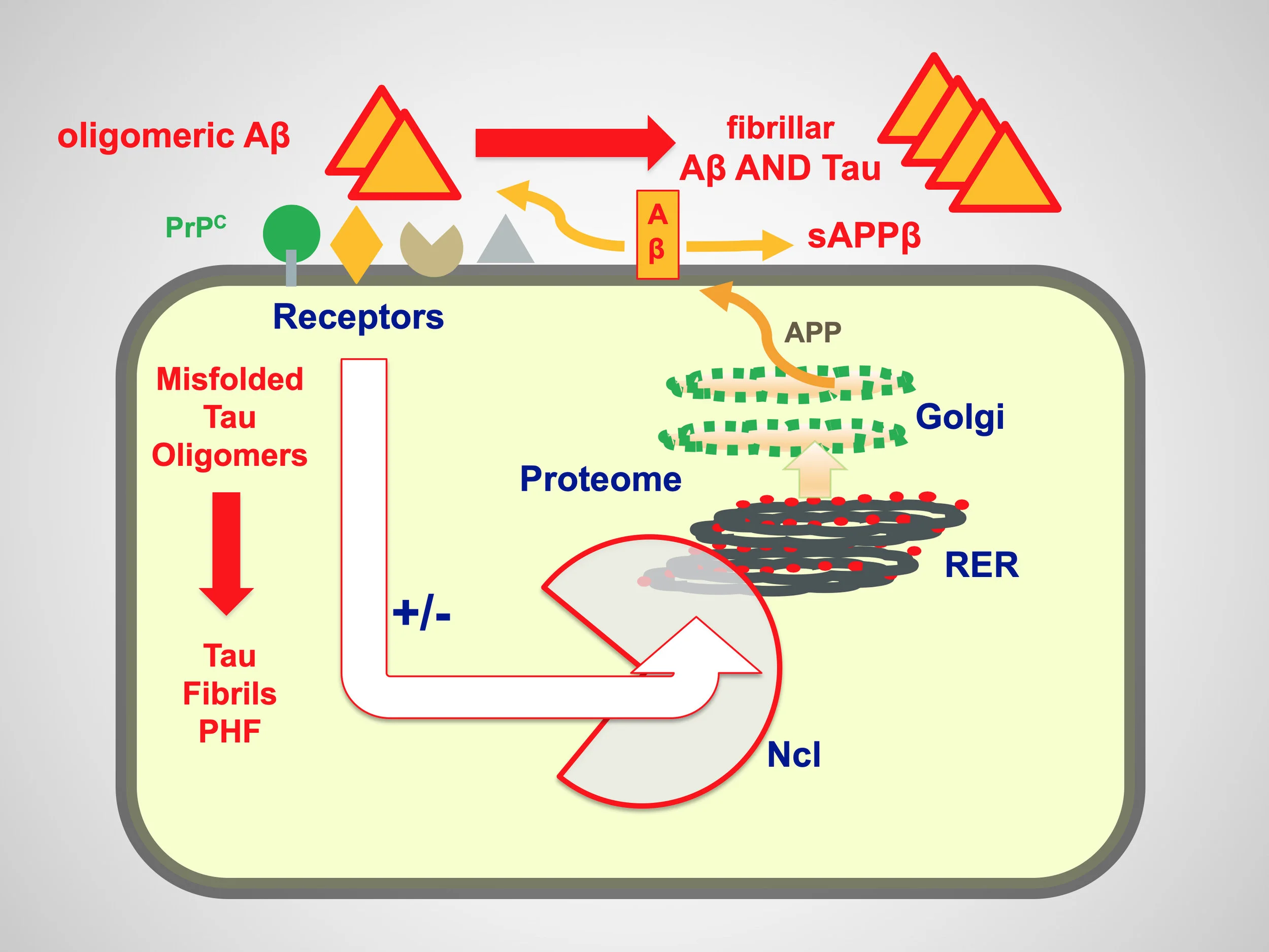 Fig.2.jpg