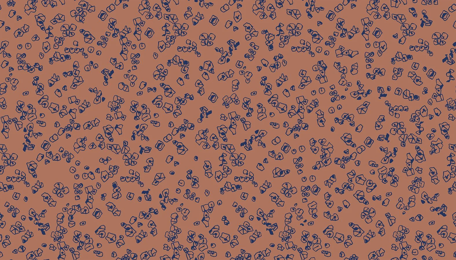 RS 8004 17.jpg