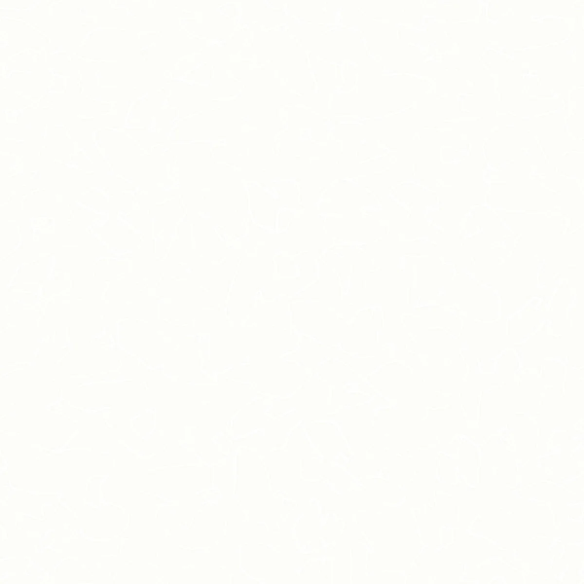 RS 8005 11.jpg