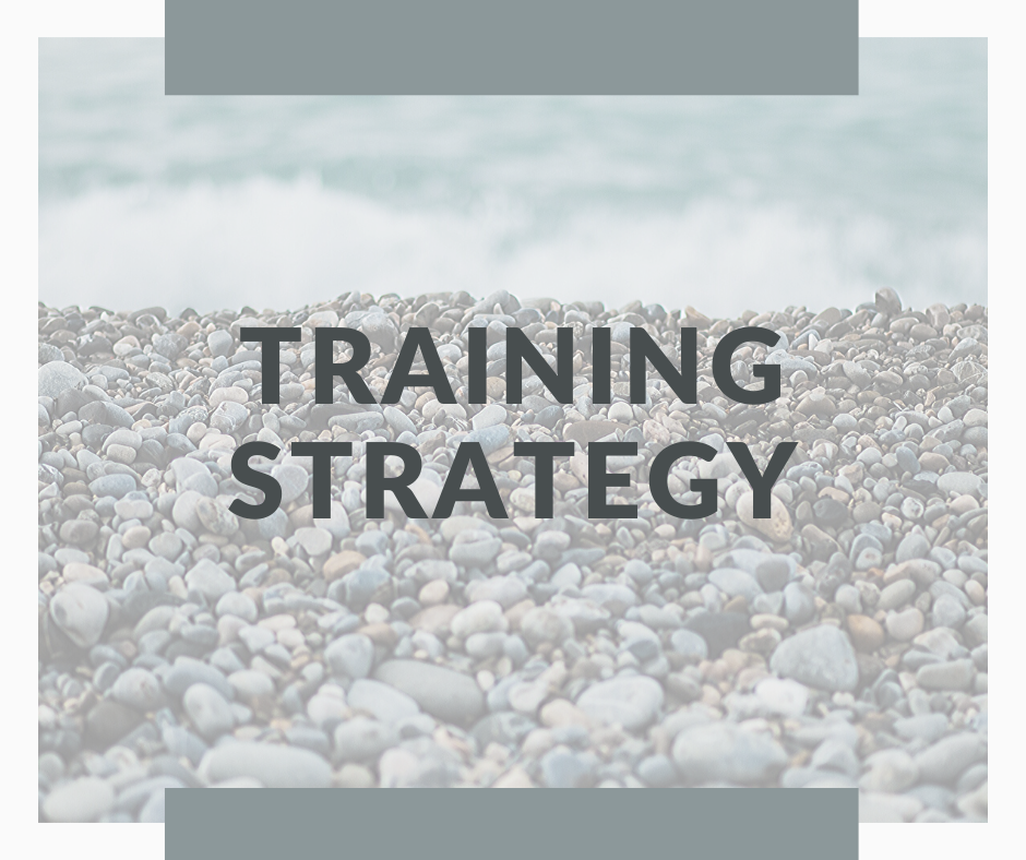 Training Strategy