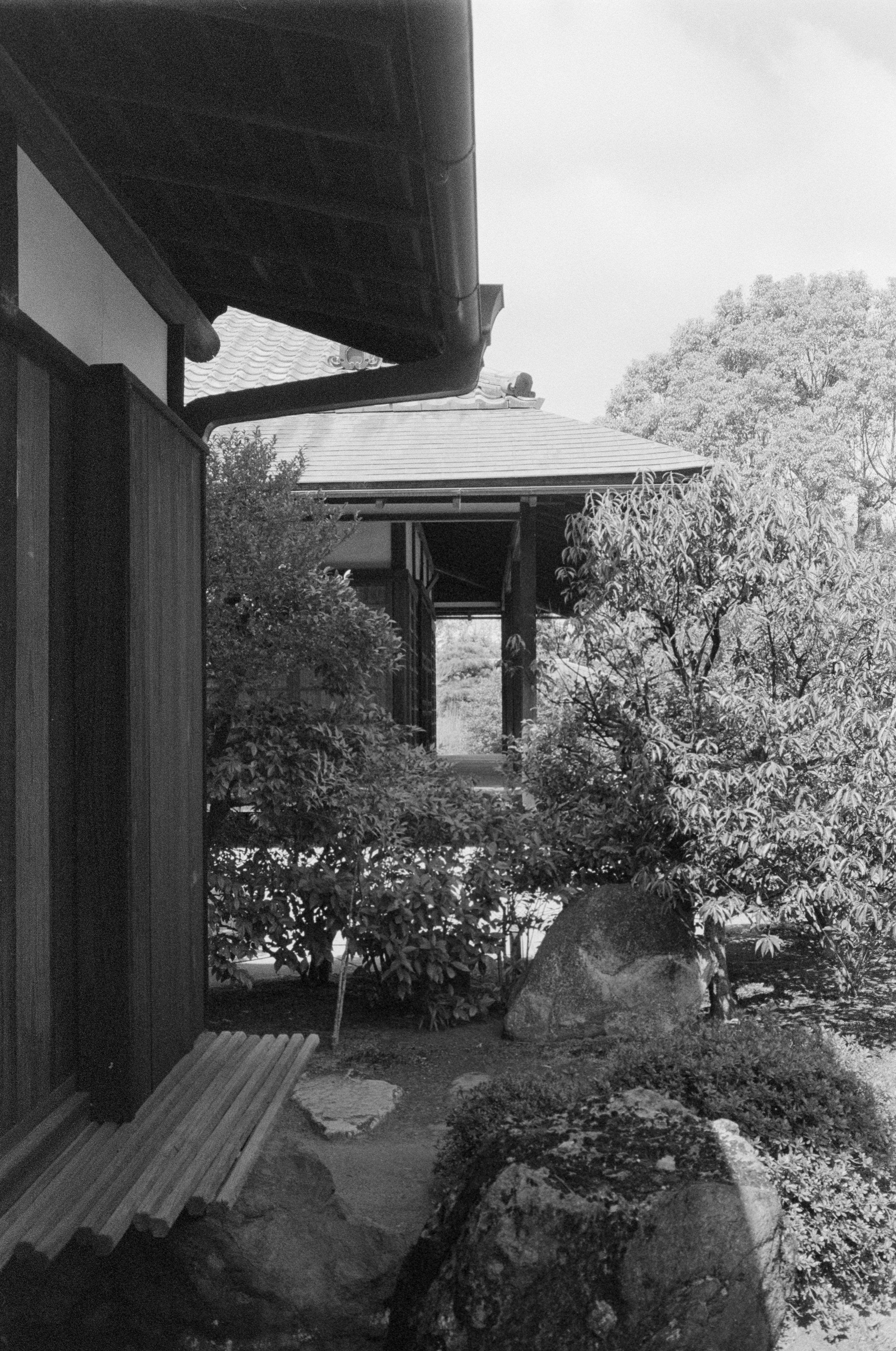 _1002191.jpg