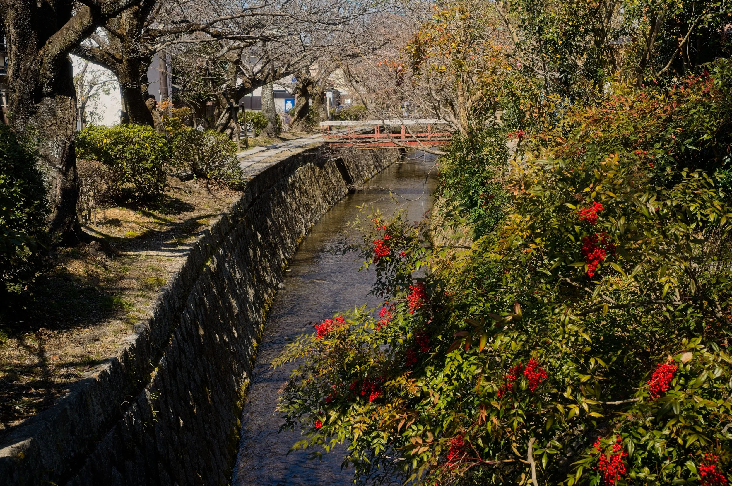 L1006560.jpg